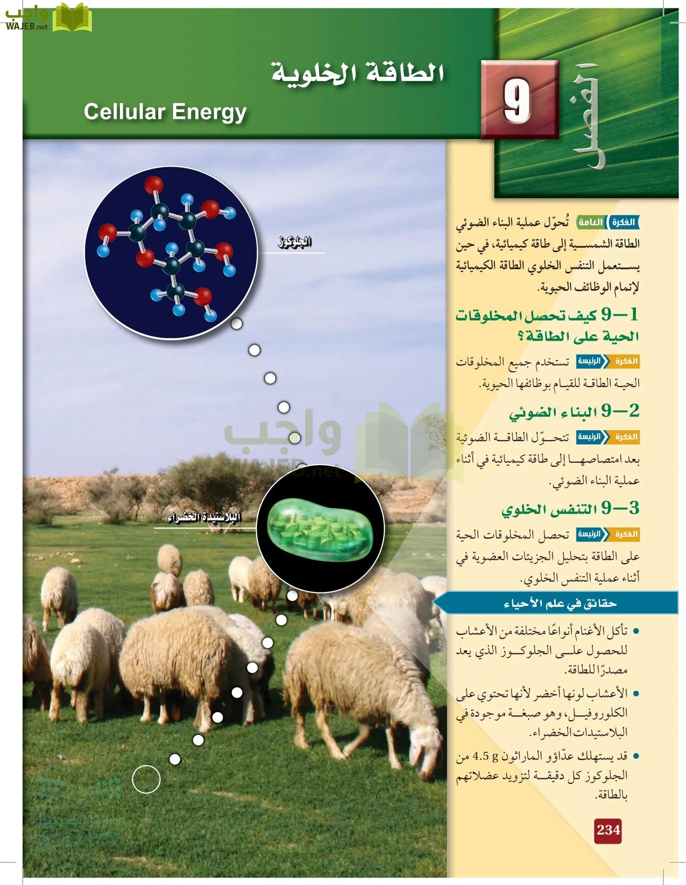 الأحياء 1-2 الفصل الأول page-233