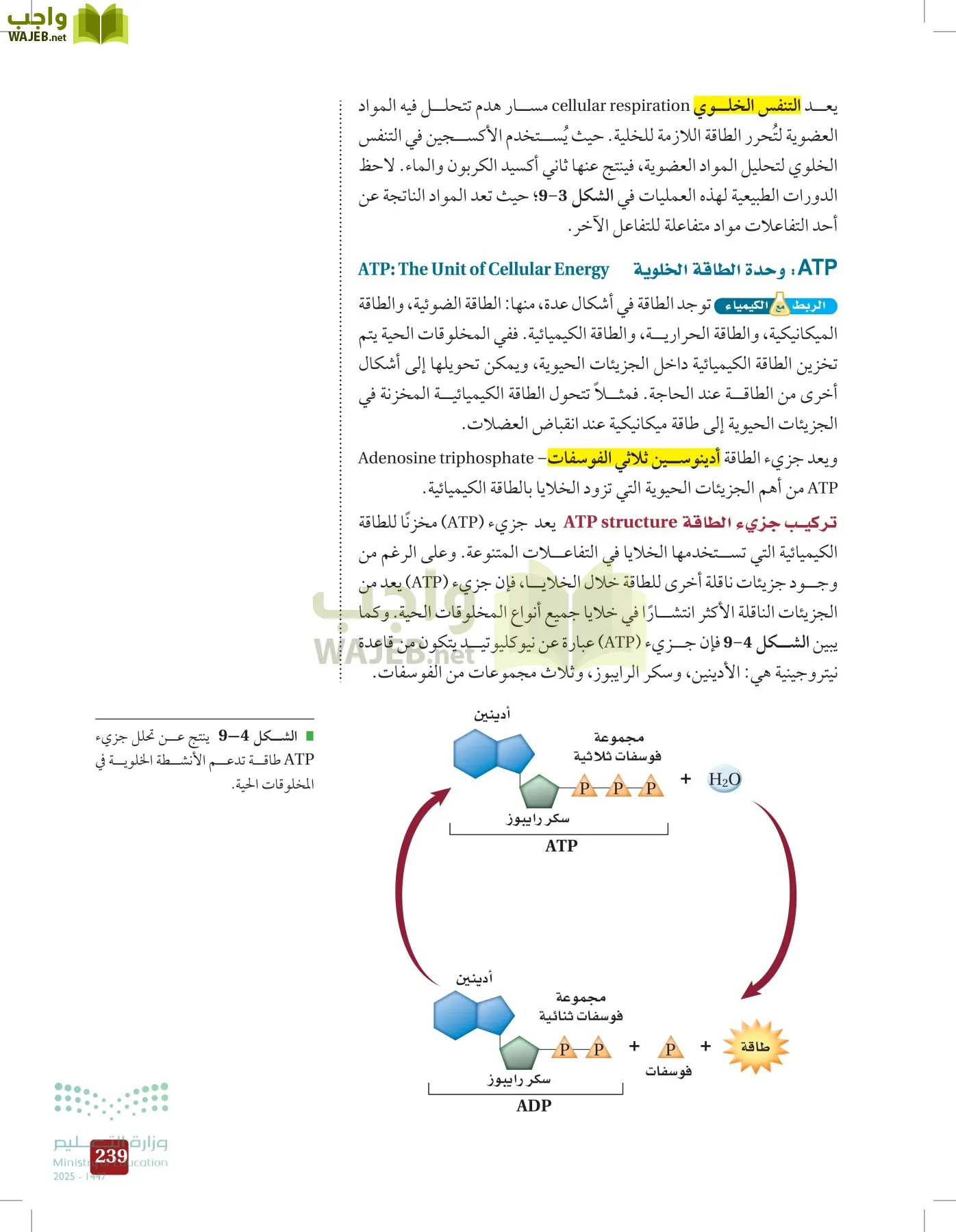 الأحياء 1-2 الفصل الأول page-238