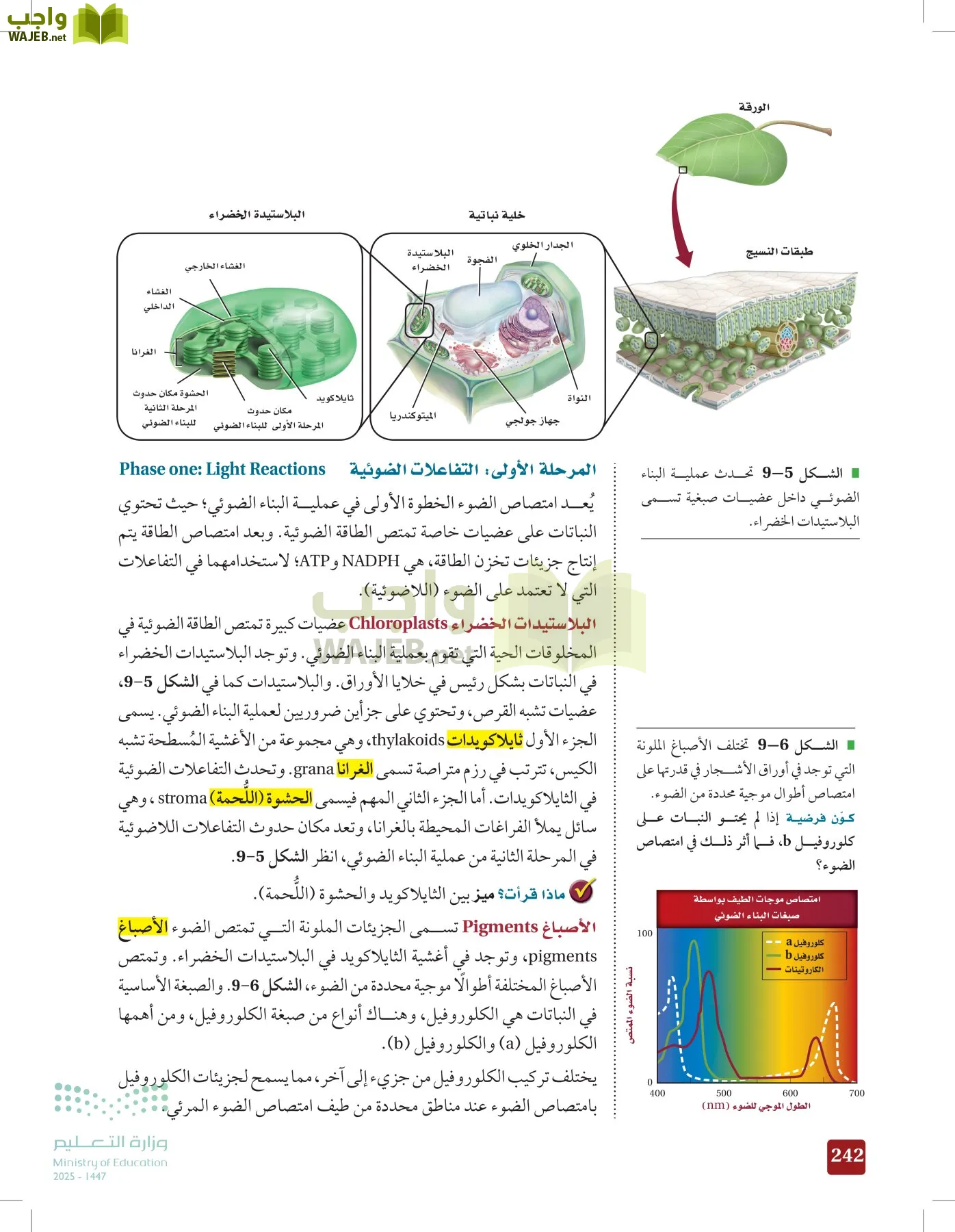 الأحياء 1-2 الفصل الأول page-241