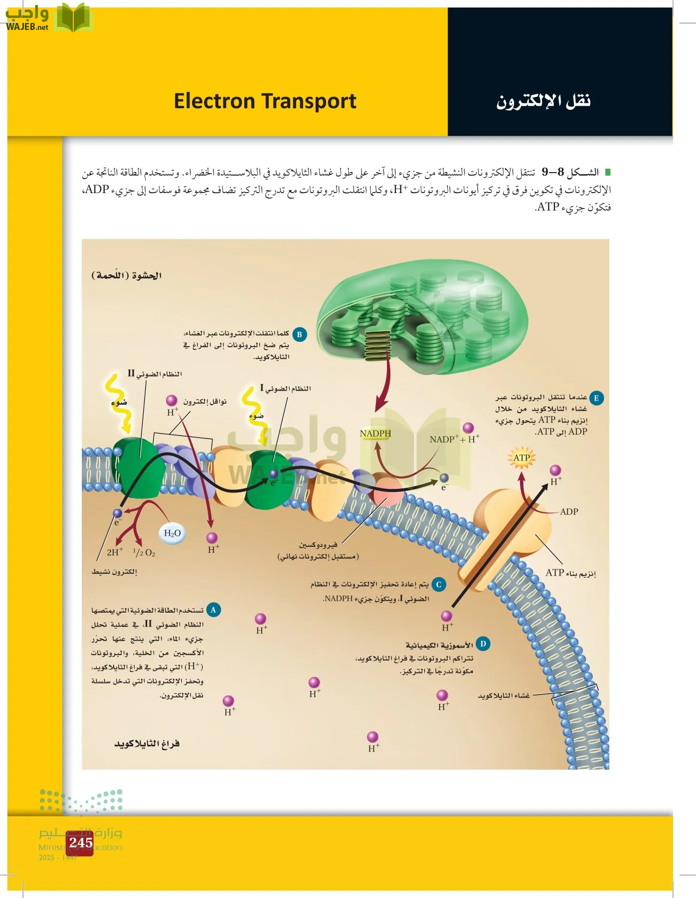 الأحياء 1-2 الفصل الأول page-244