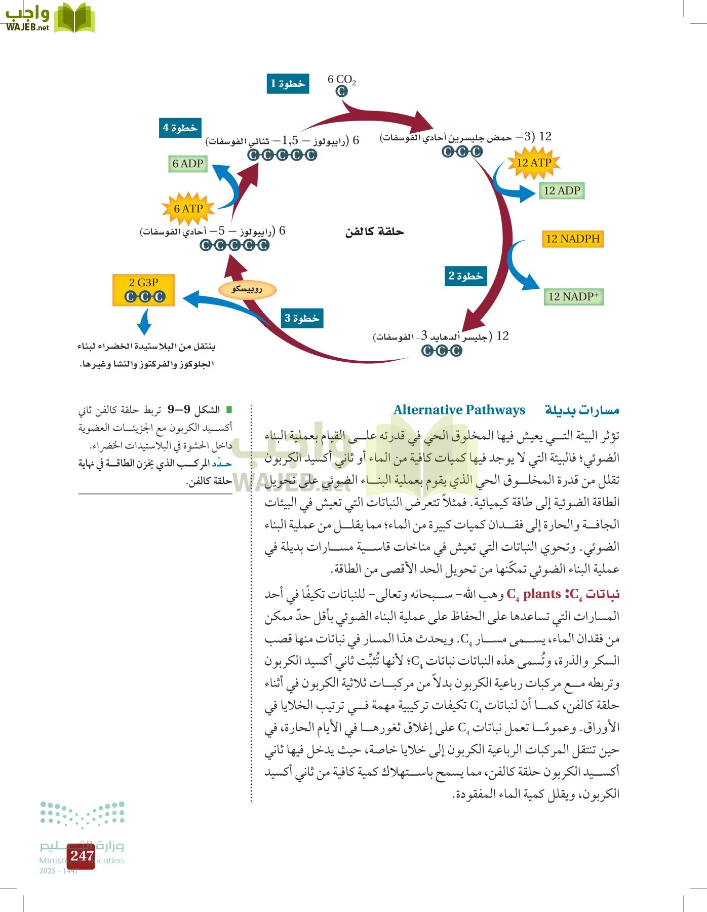الأحياء 1-2 الفصل الأول page-246