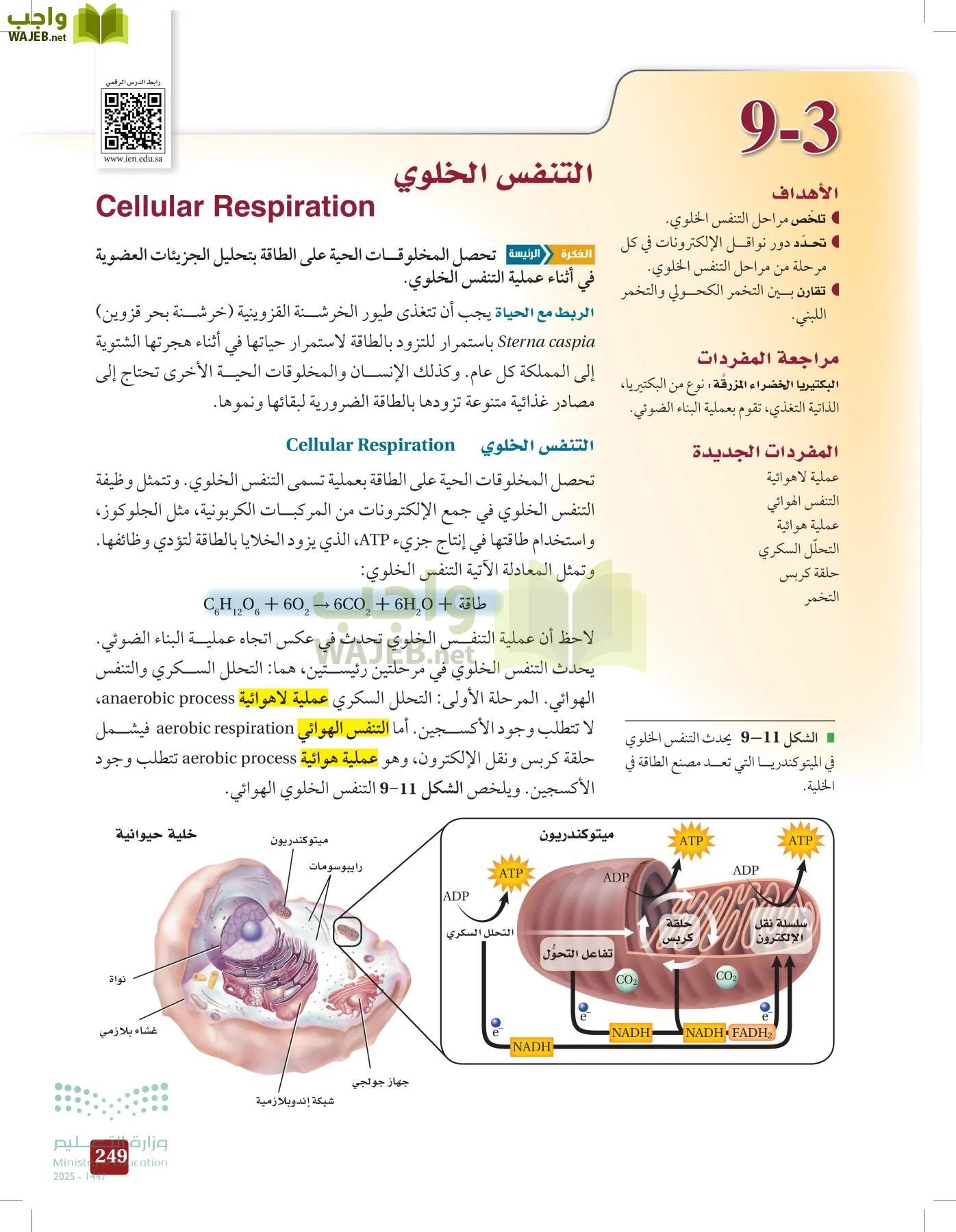 الأحياء 1-2 الفصل الأول page-248