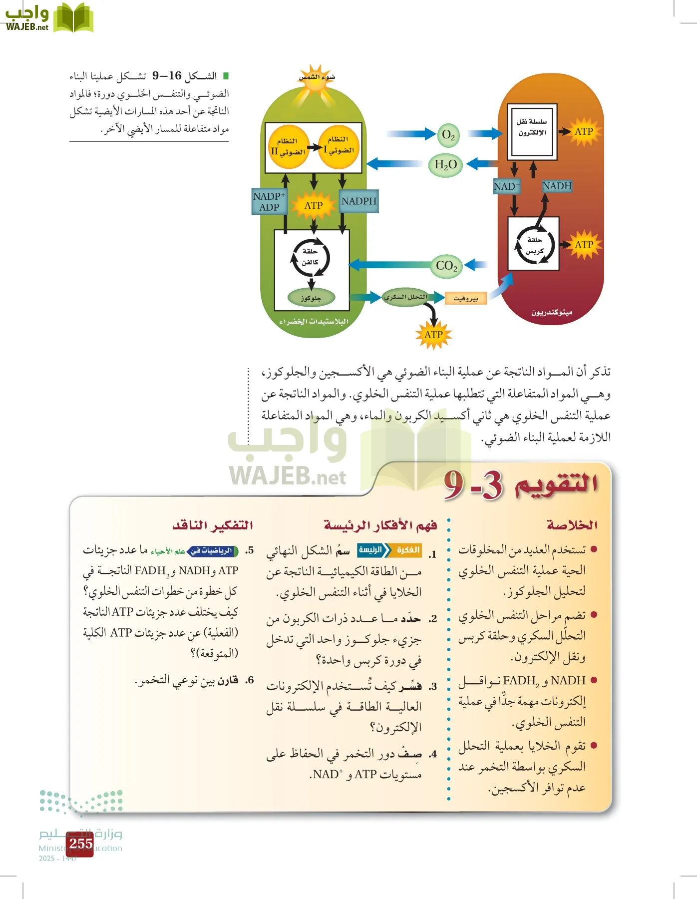 الأحياء 1-2 الفصل الأول page-254
