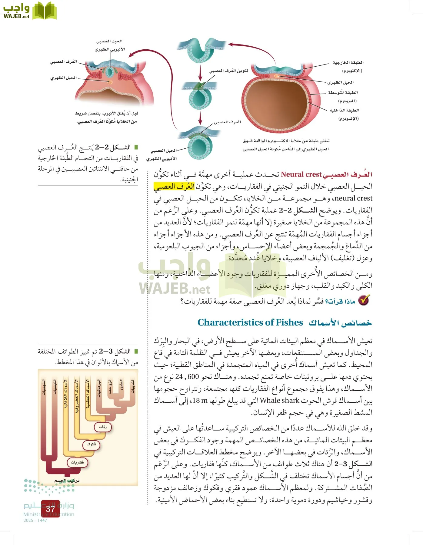 الأحياء 1-2 الفصل الأول page-36
