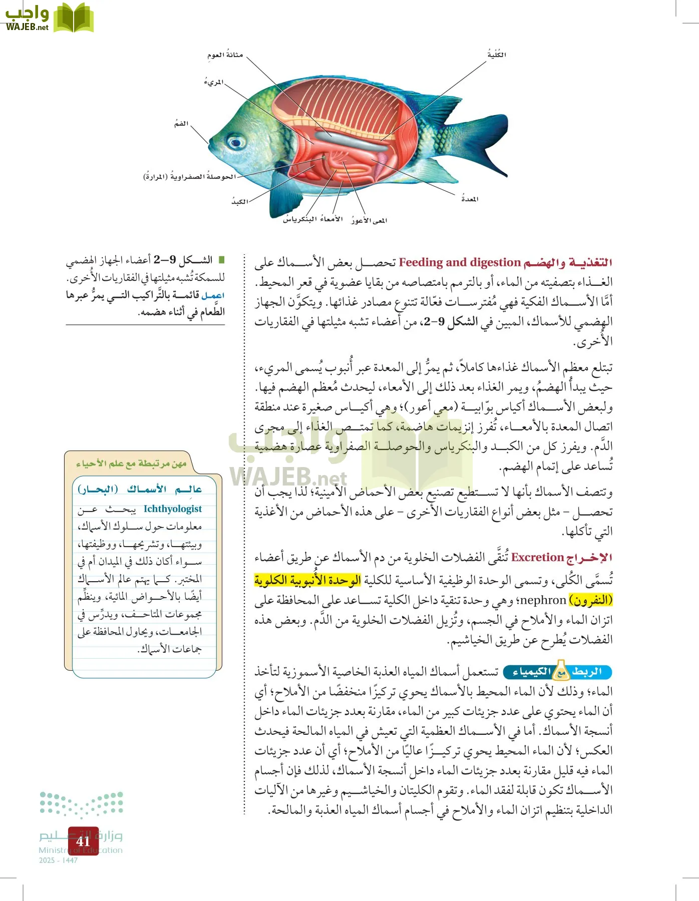 الأحياء 1-2 الفصل الأول page-40