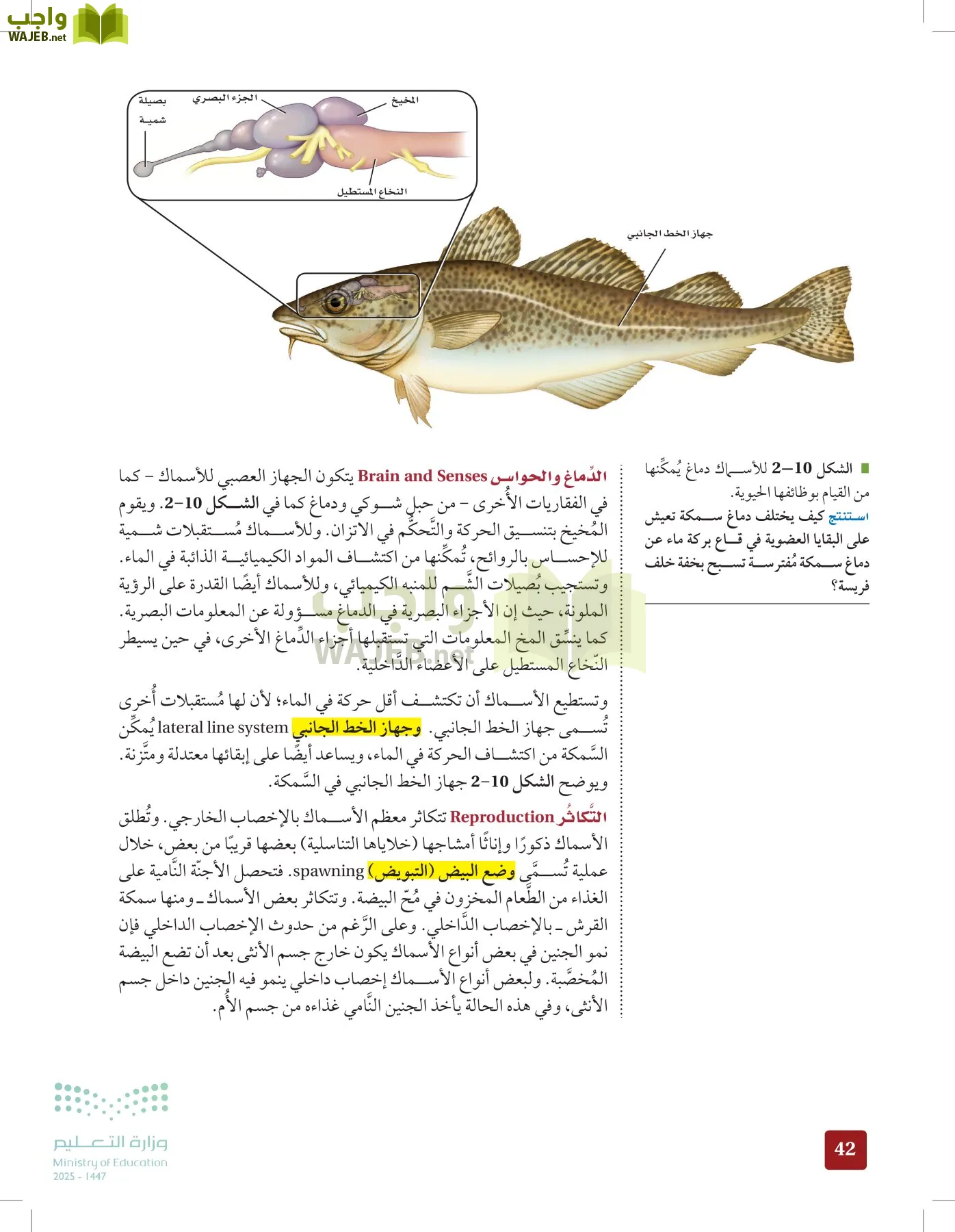 الأحياء 1-2 الفصل الأول page-41