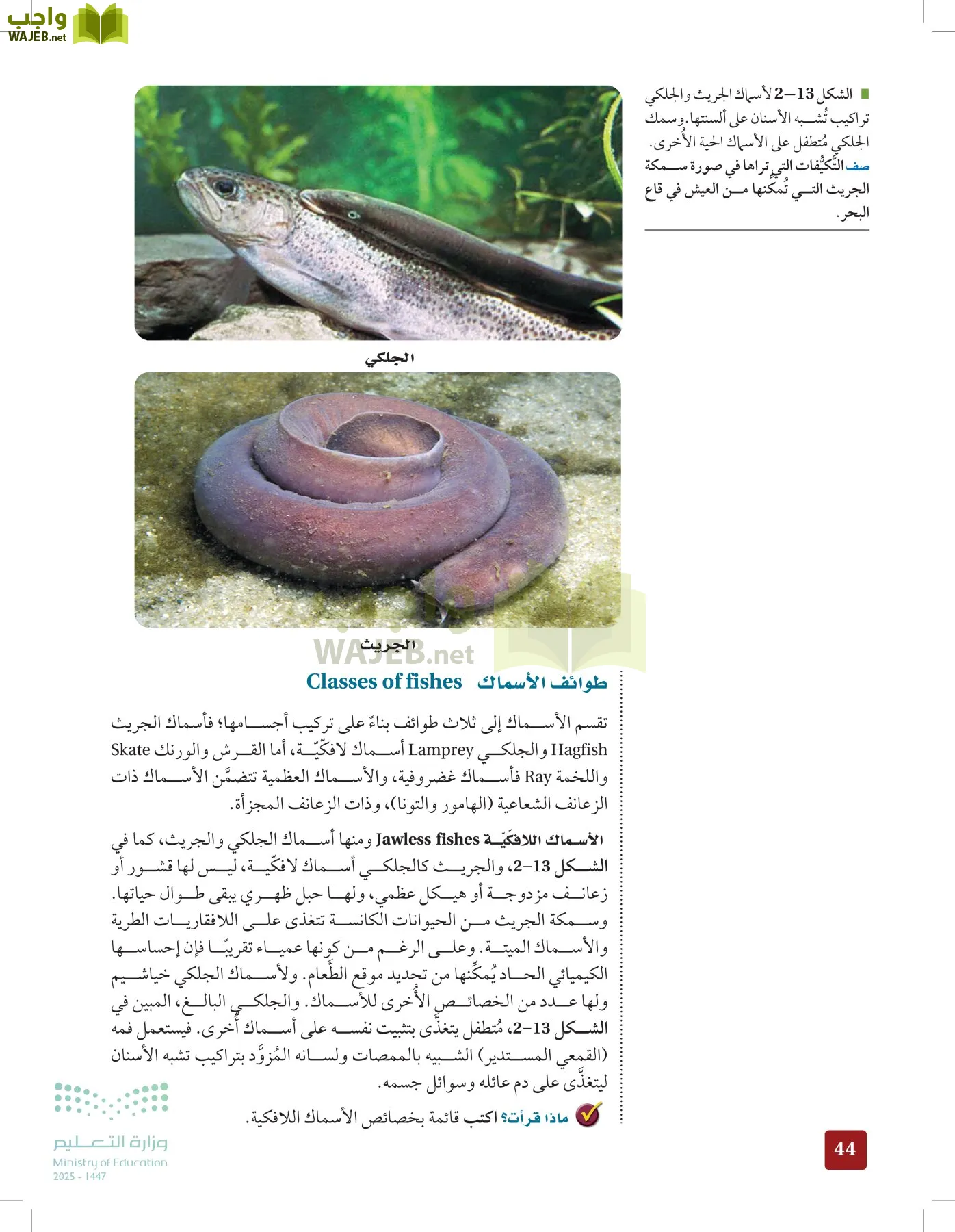 الأحياء 1-2 الفصل الأول page-43