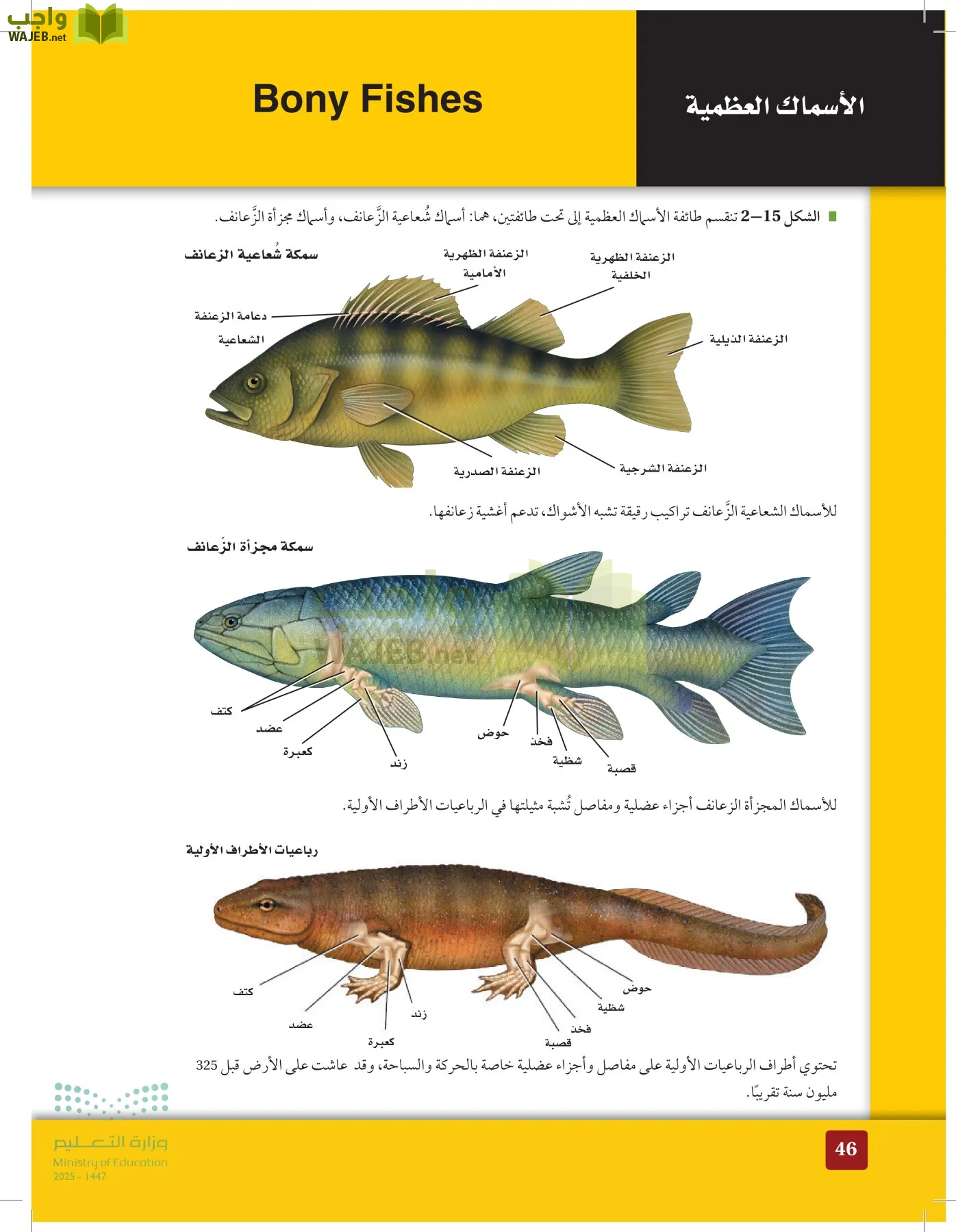 الأحياء 1-2 الفصل الأول page-45