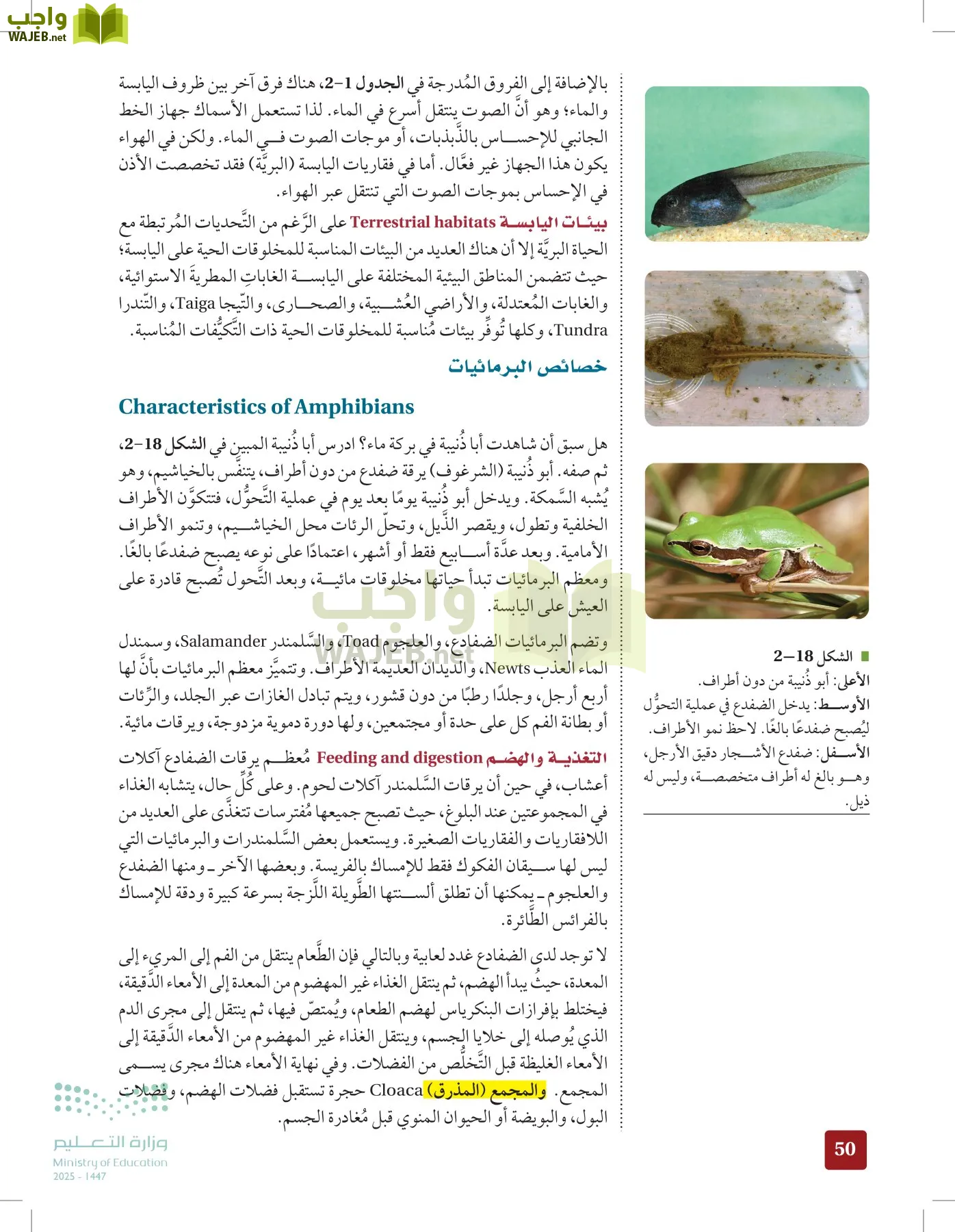 الأحياء 1-2 الفصل الأول page-49