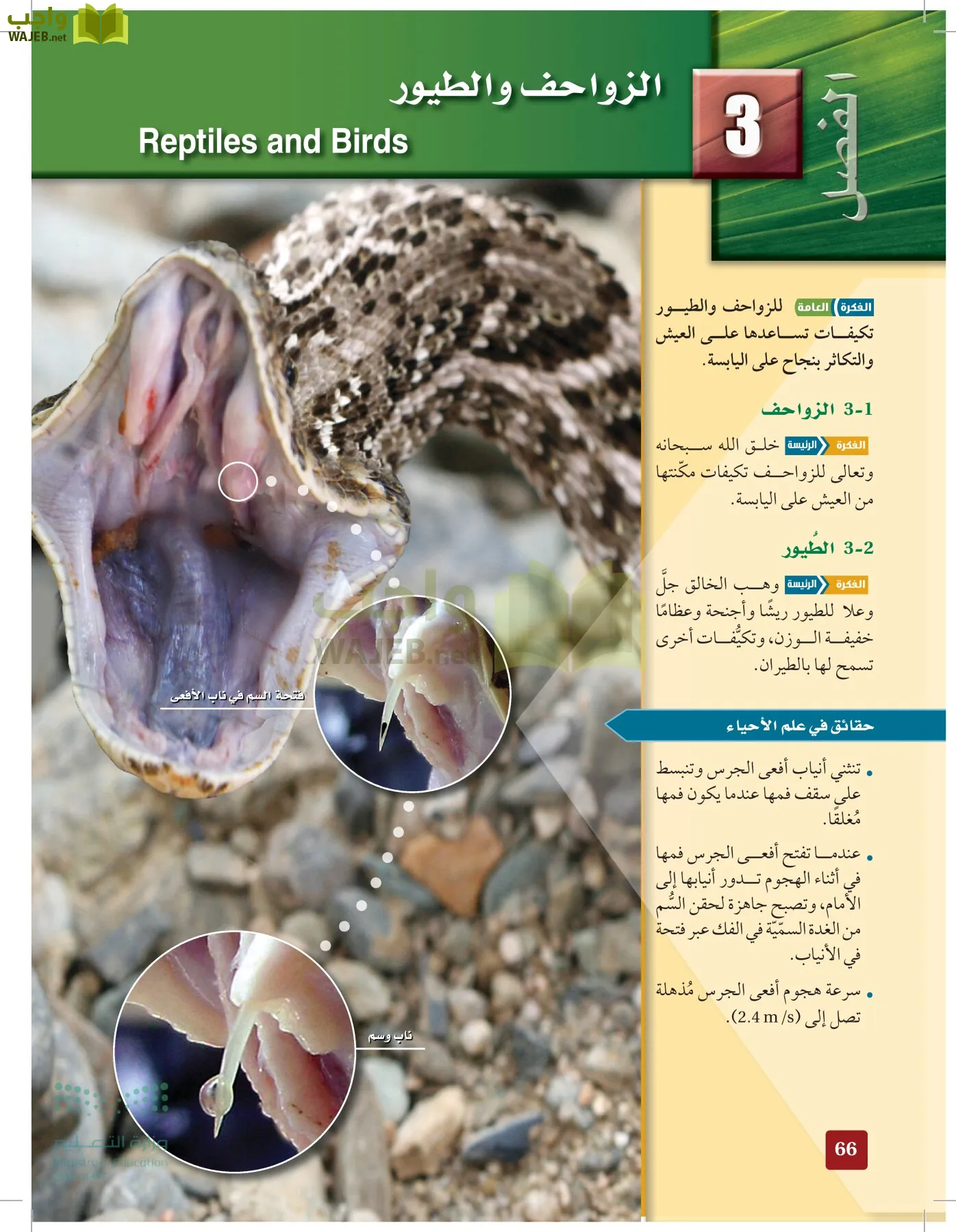 الأحياء 1-2 الفصل الأول page-65