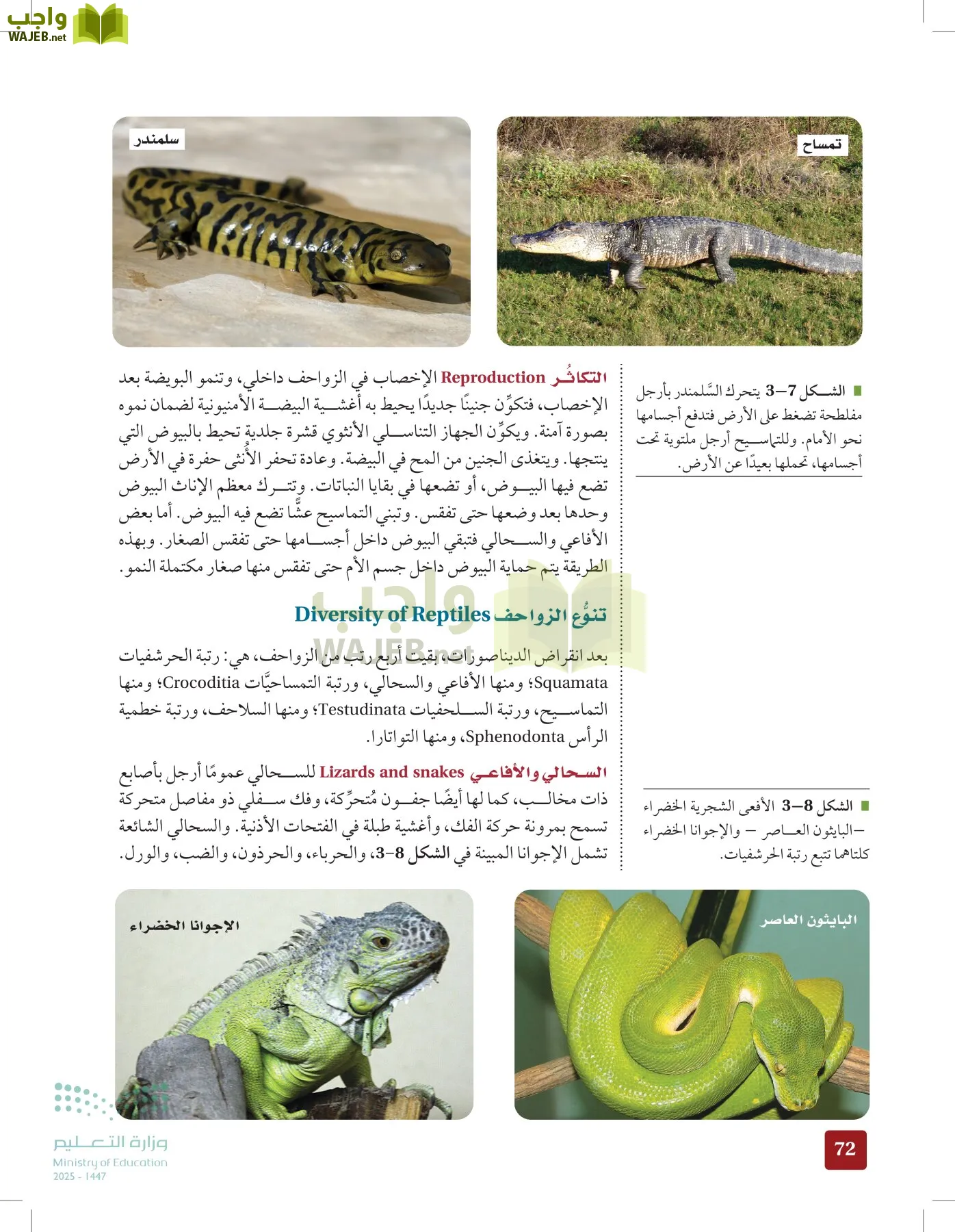 الأحياء 1-2 الفصل الأول page-71