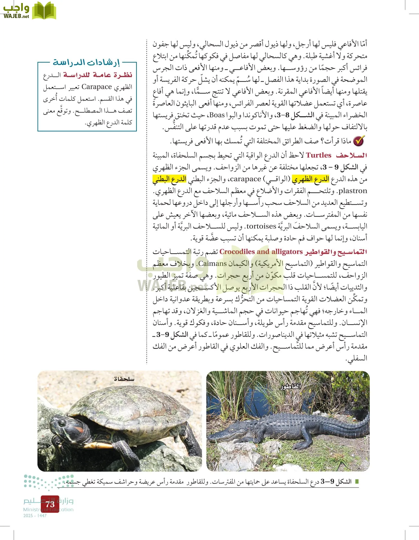 الأحياء 1-2 الفصل الأول page-72