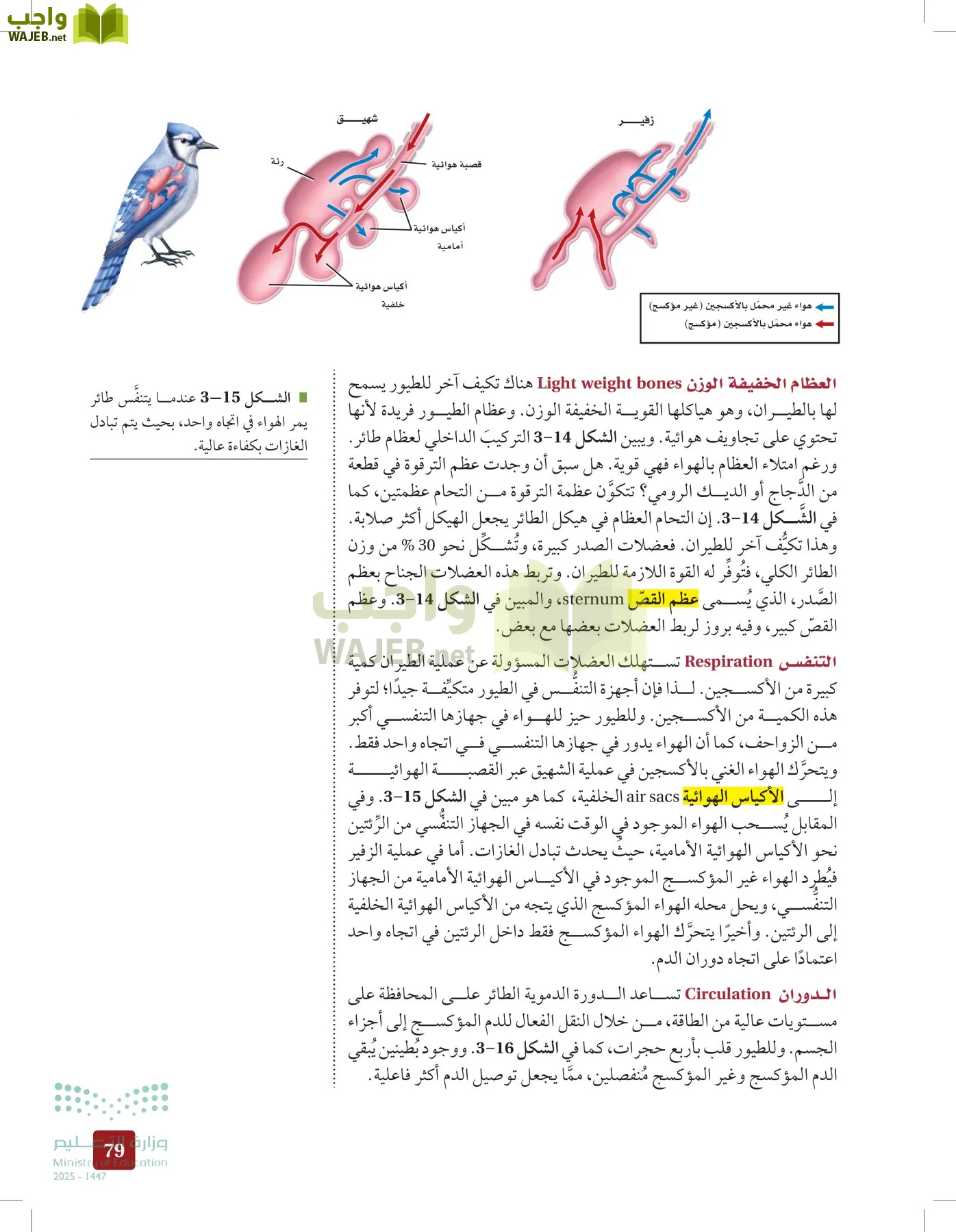 الأحياء 1-2 الفصل الأول page-78