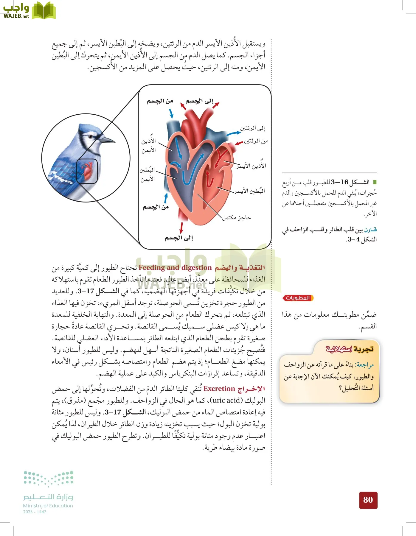 الأحياء 1-2 الفصل الأول page-79