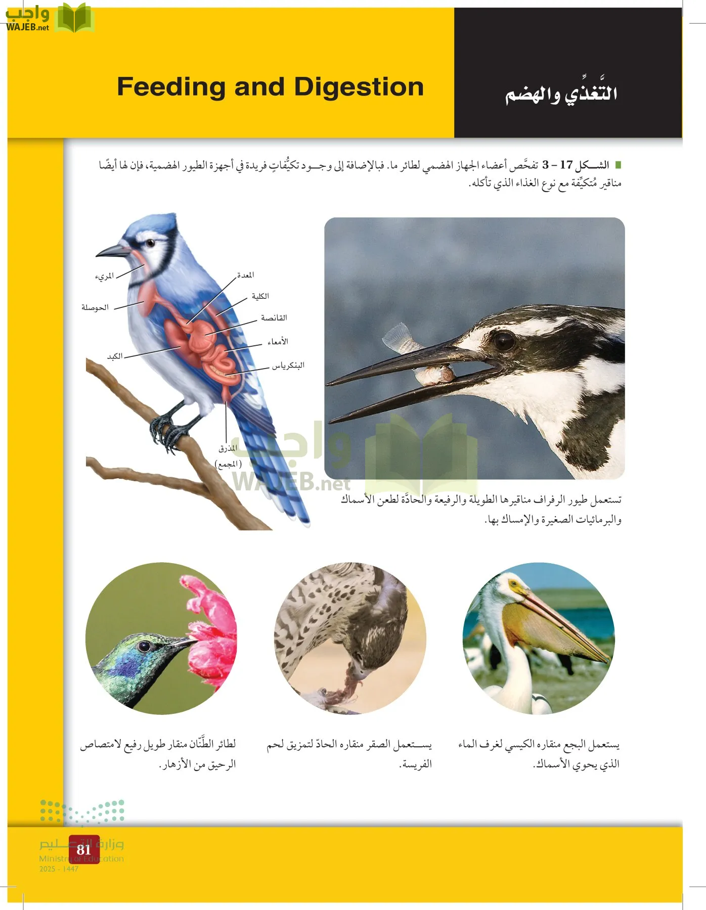 الأحياء 1-2 الفصل الأول page-80