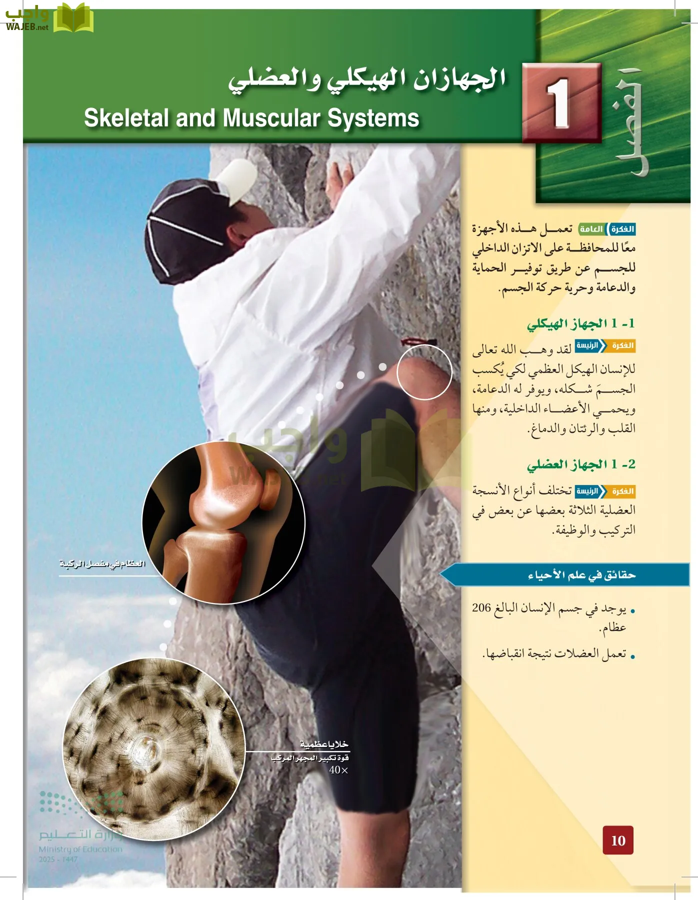 الأحياء 2-2 الفصل الثاني page-9