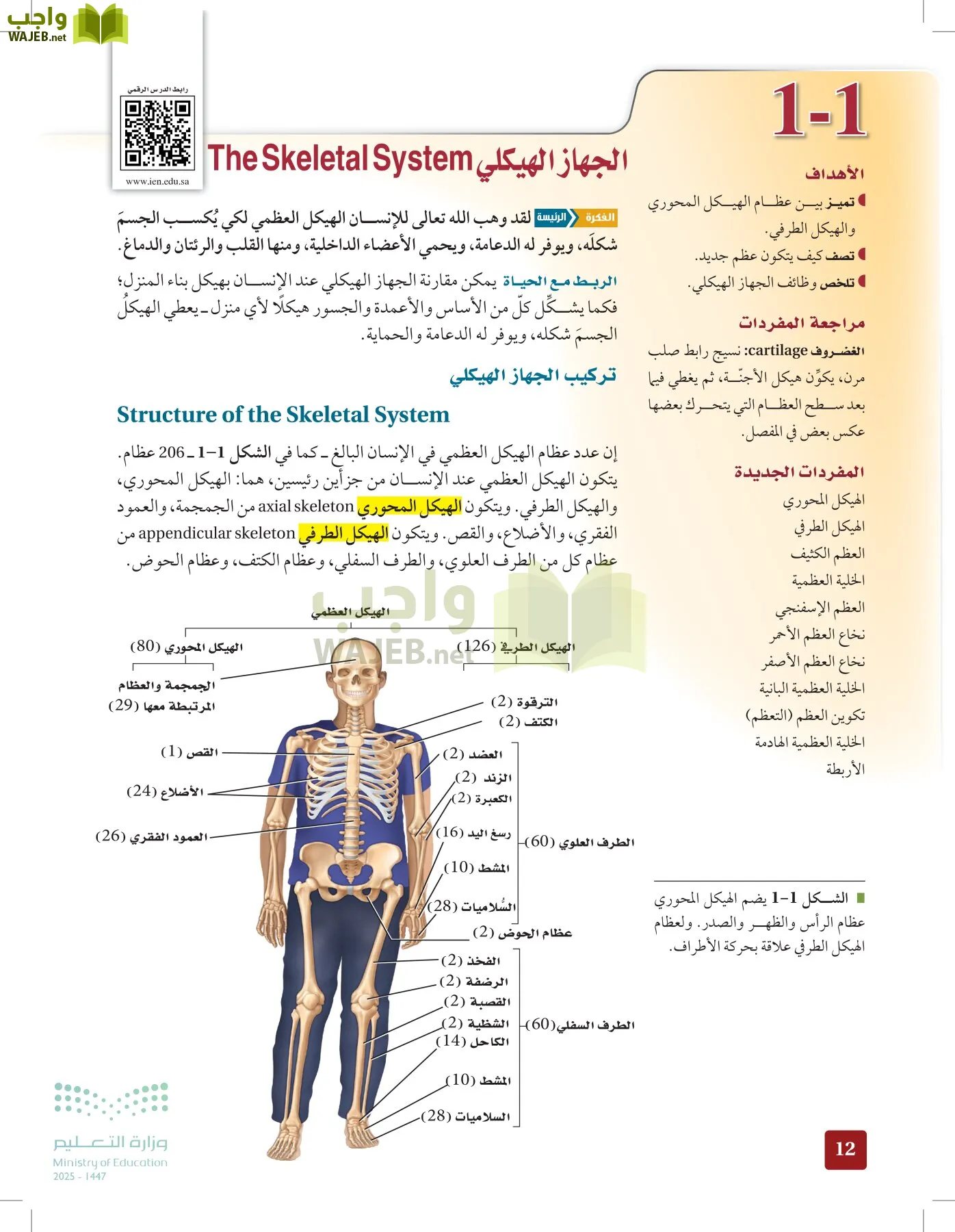 الأحياء 2-2 الفصل الثاني page-11