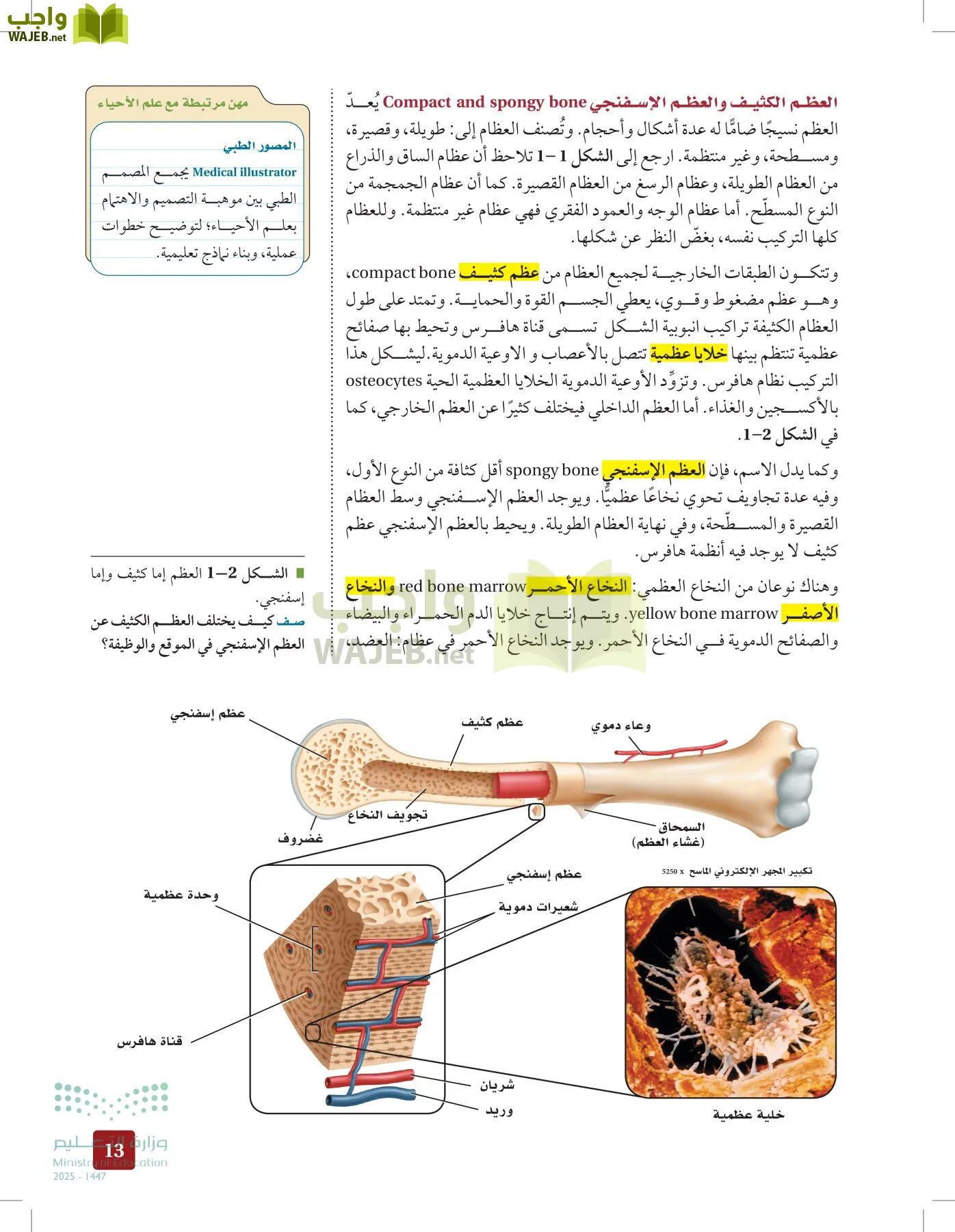 الأحياء 2-2 الفصل الثاني page-12