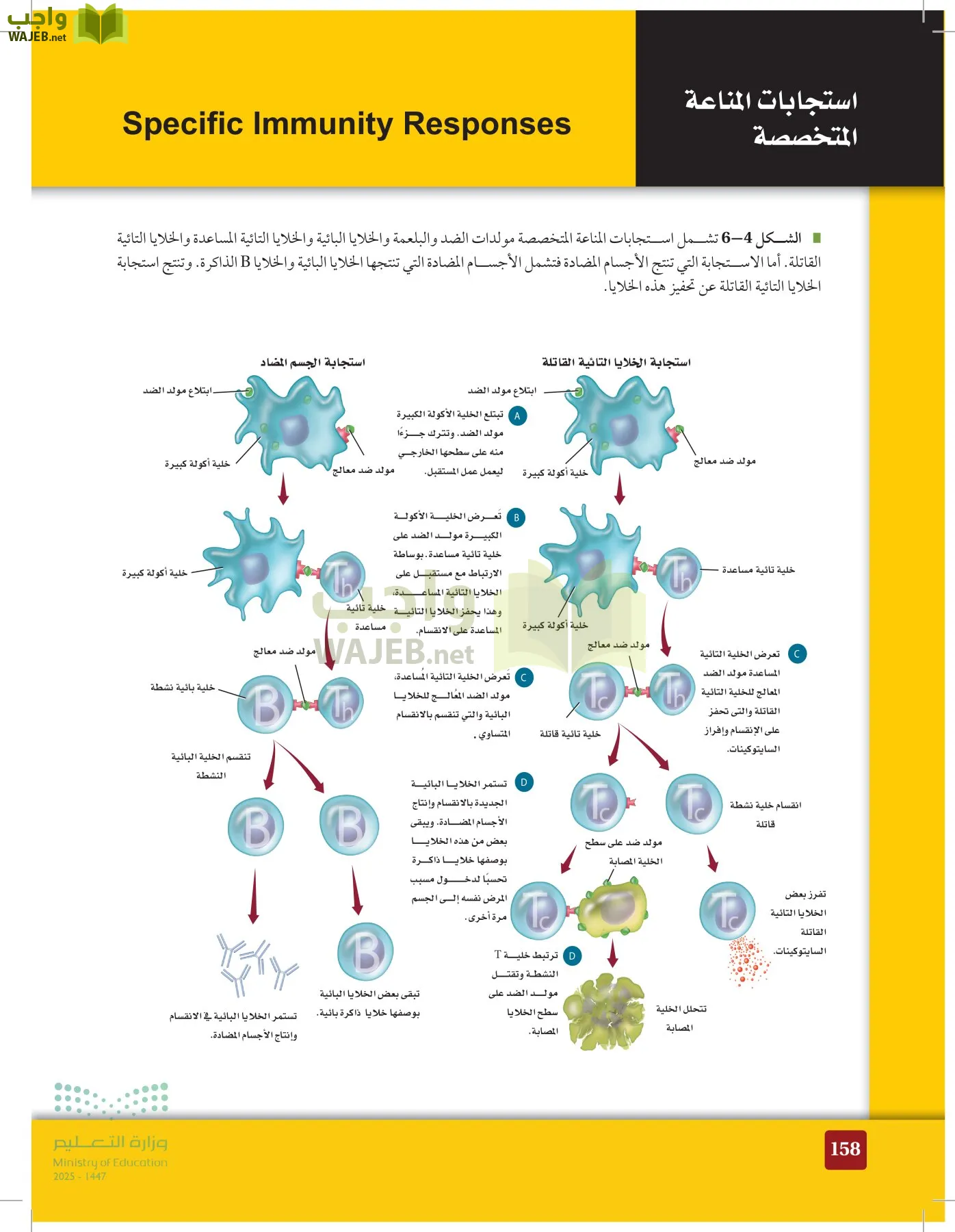 الأحياء 2-2 الفصل الثاني page-157