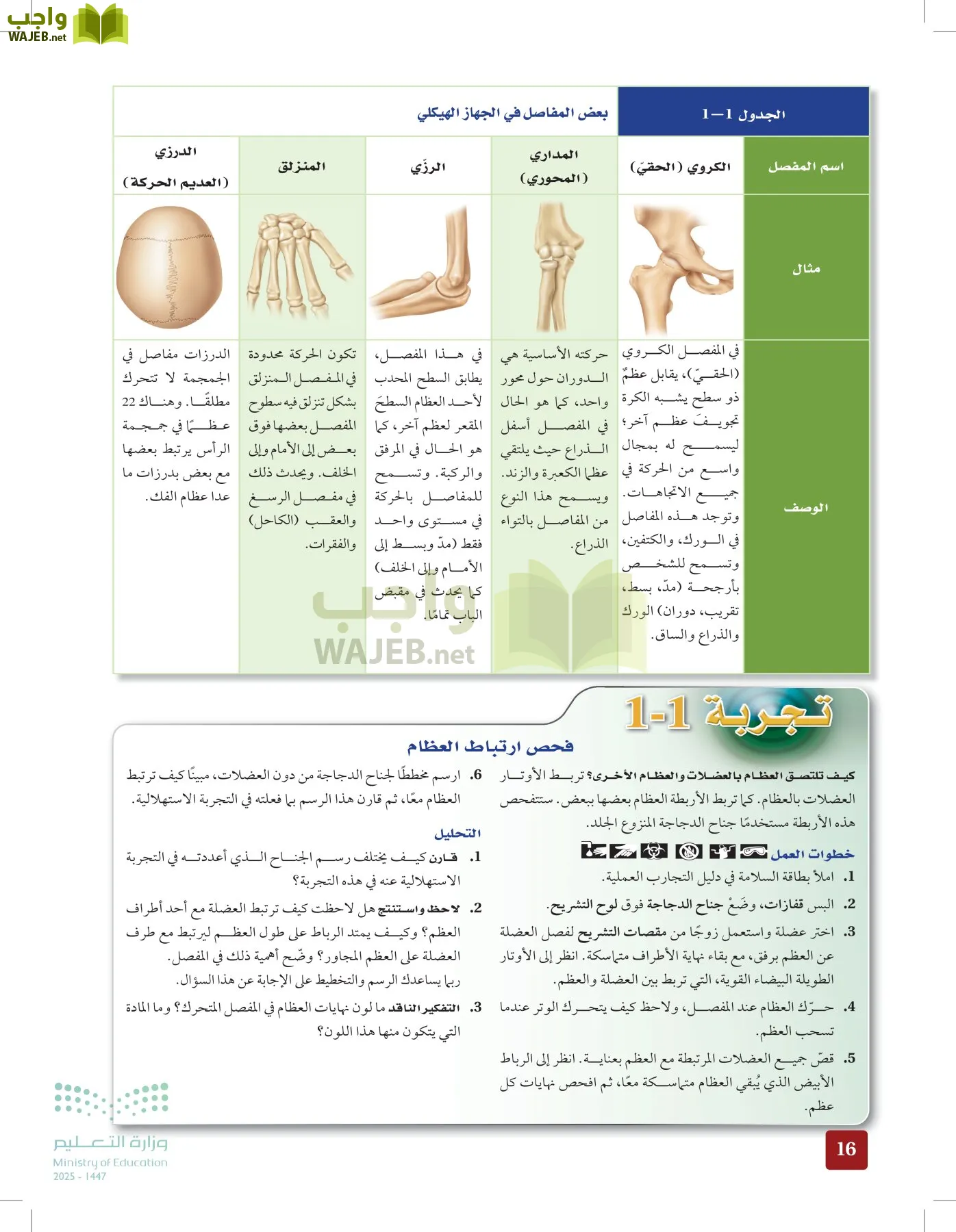 الأحياء 2-2 الفصل الثاني page-15