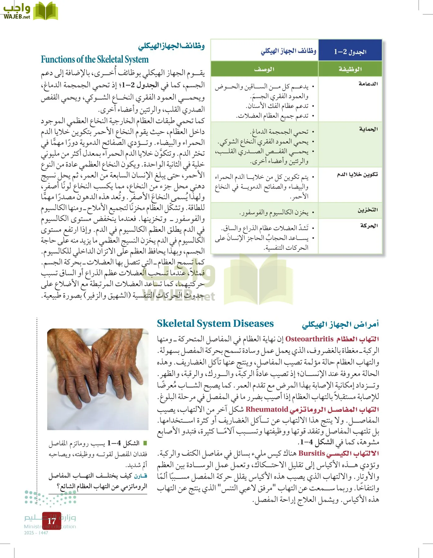 الأحياء 2-2 الفصل الثاني page-16