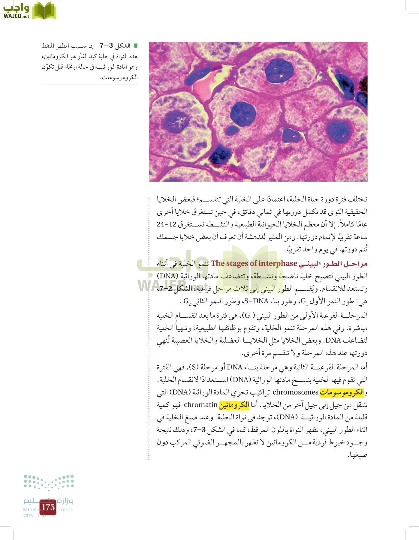 الأحياء 2-2 الفصل الثاني page-174