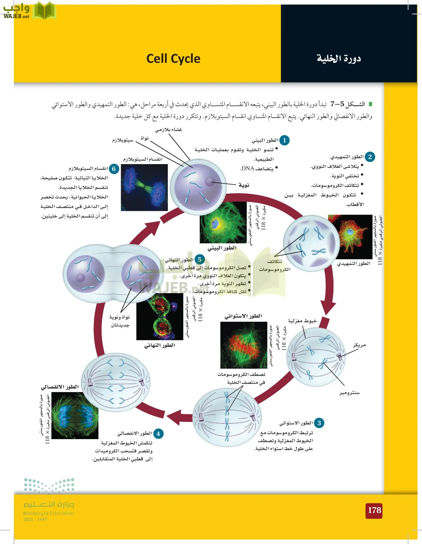 الأحياء 2-2 الفصل الثاني page-177