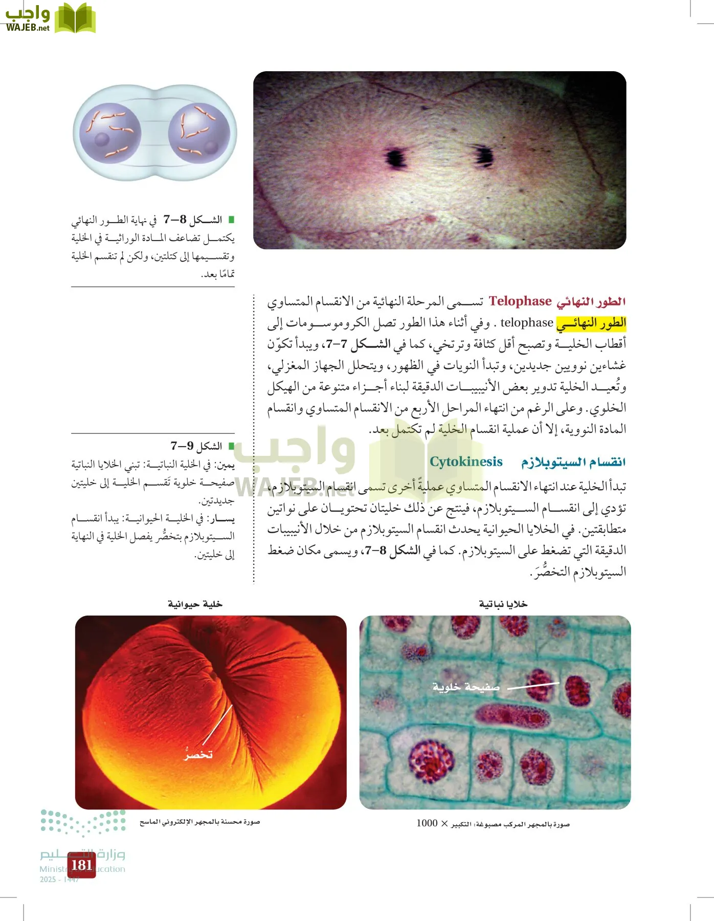 الأحياء 2-2 الفصل الثاني page-180