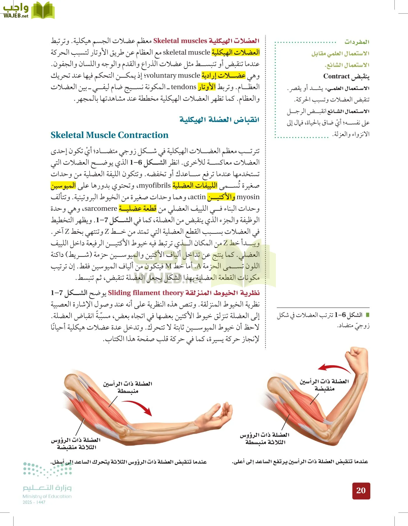 الأحياء 2-2 الفصل الثاني page-19