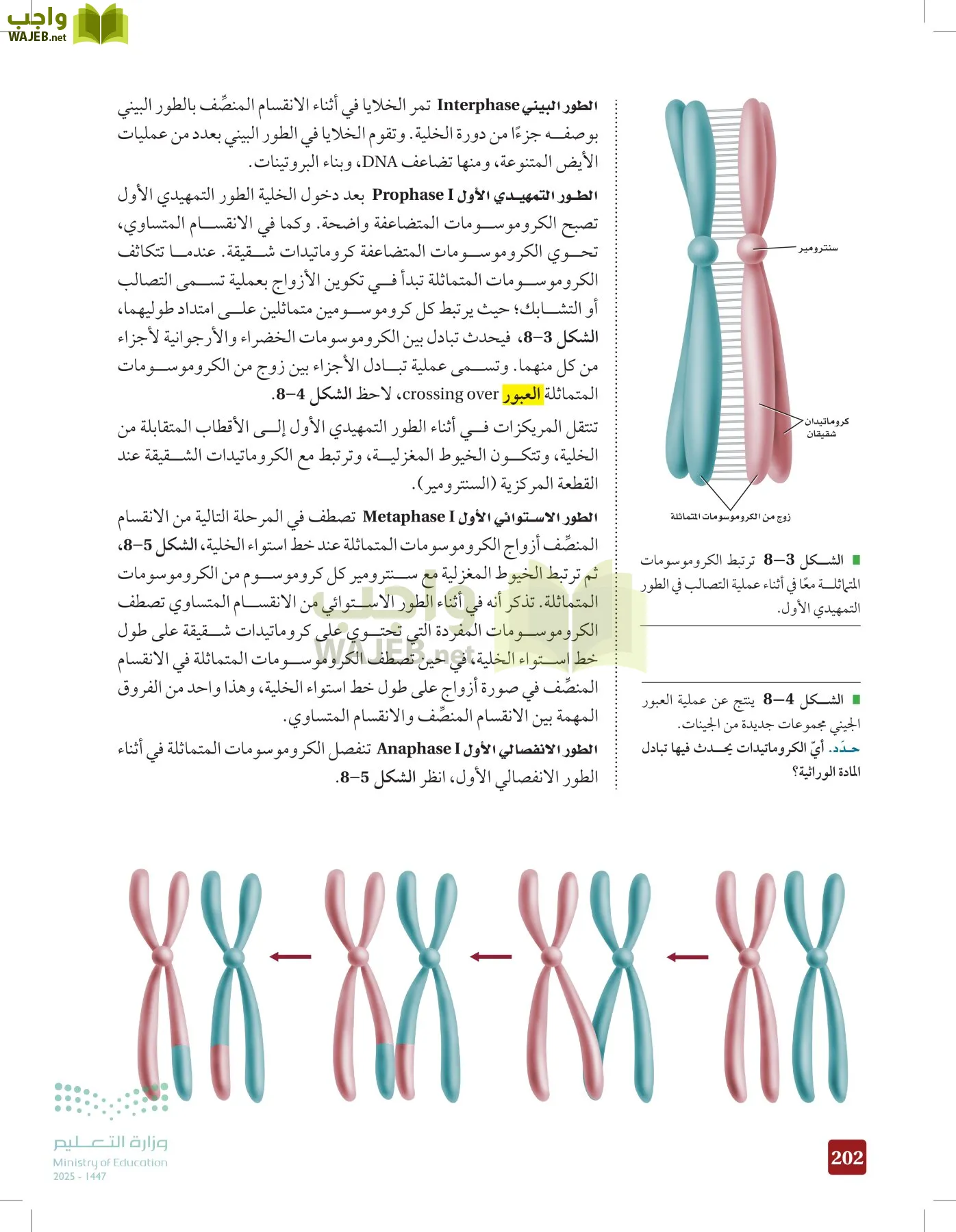 الأحياء 2-2 الفصل الثاني page-201
