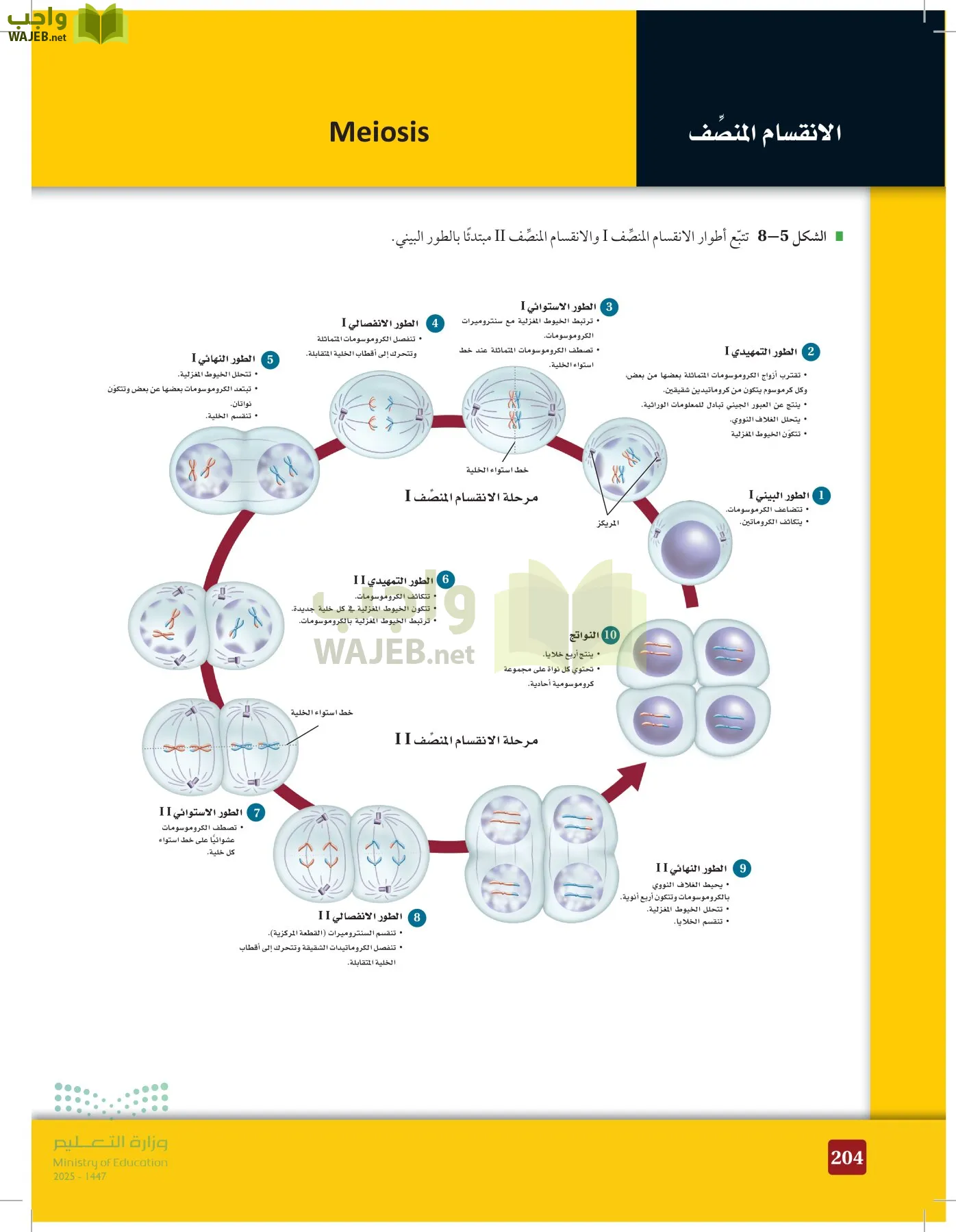 الأحياء 2-2 الفصل الثاني page-203