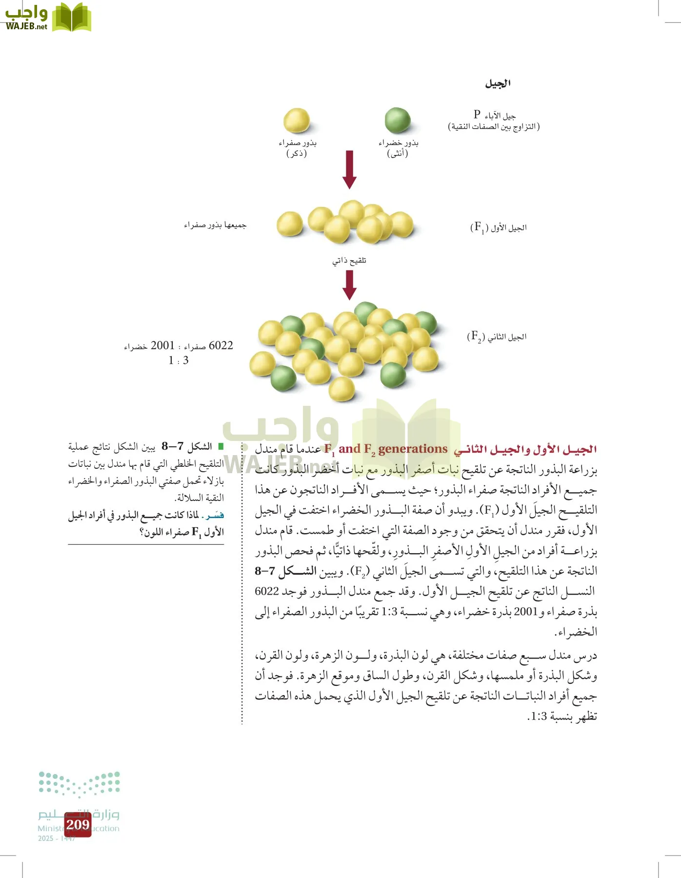 الأحياء 2-2 الفصل الثاني page-208