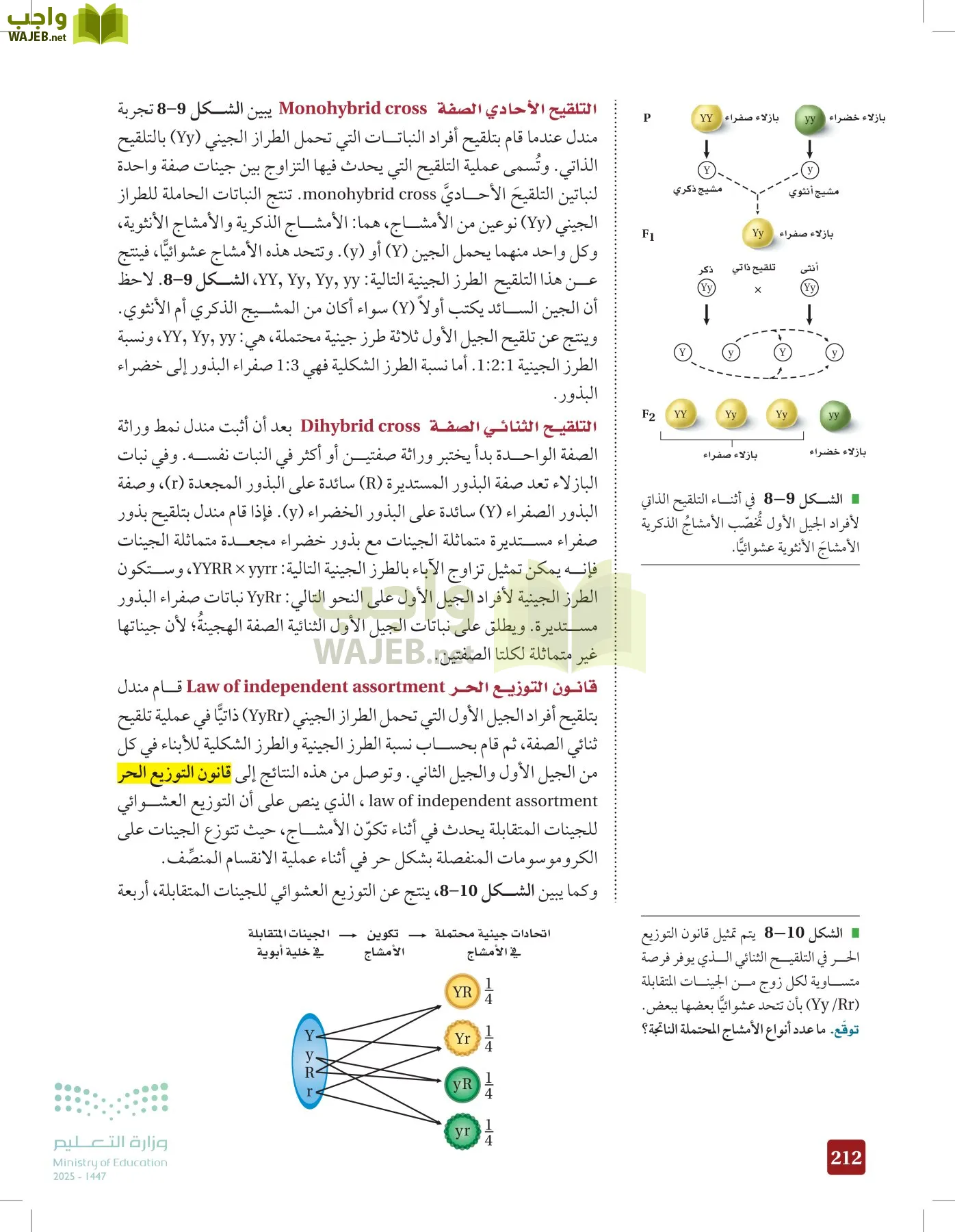 الأحياء 2-2 الفصل الثاني page-211