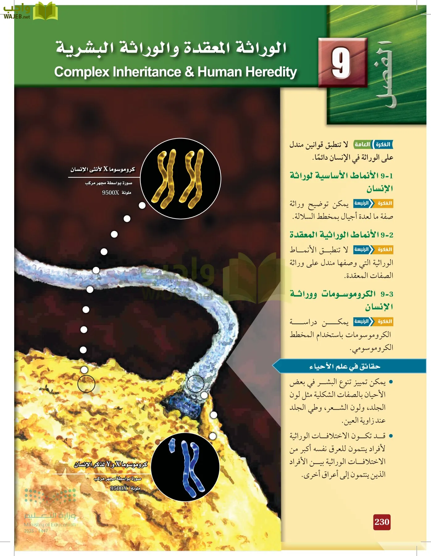 الأحياء 2-2 الفصل الثاني page-229