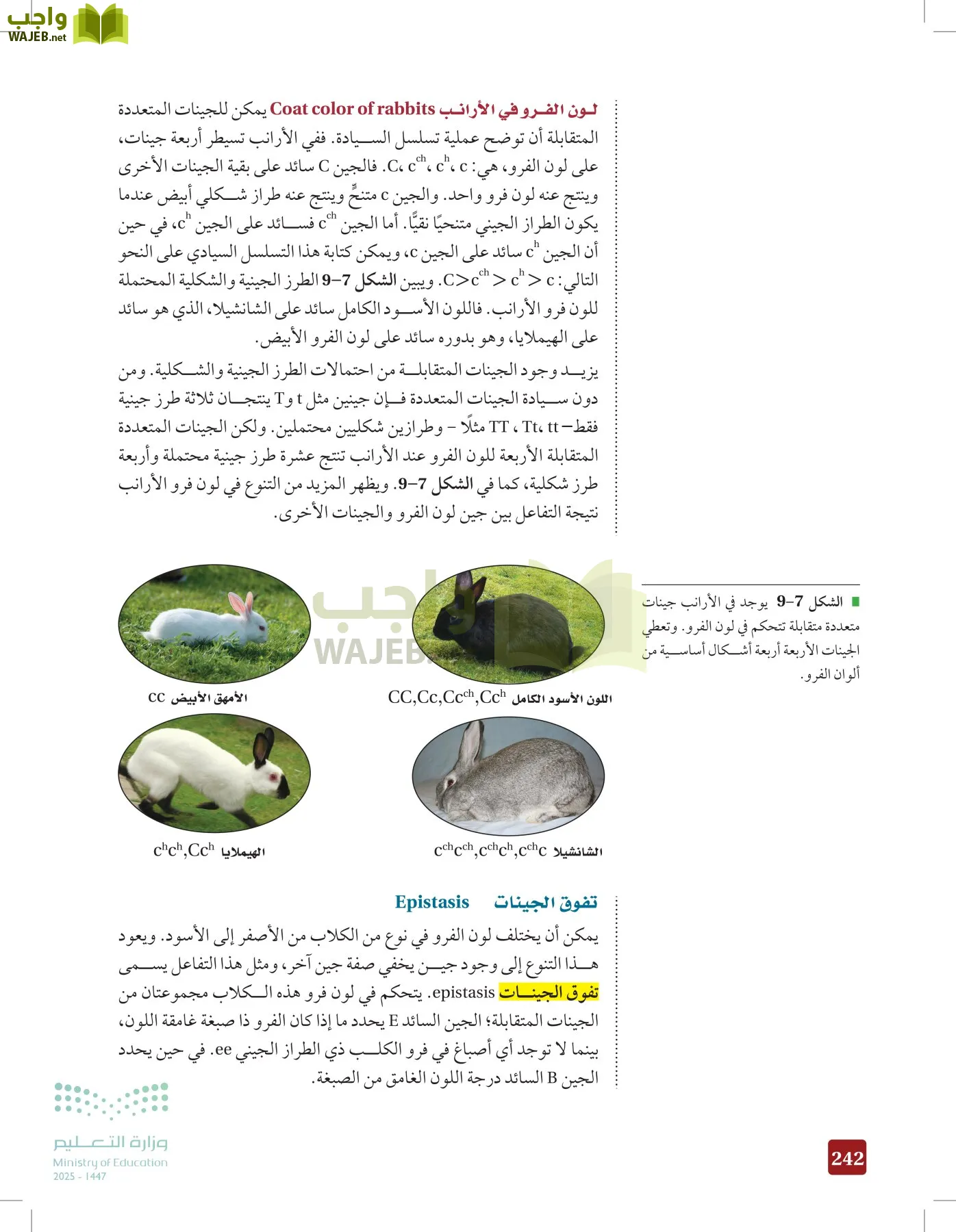 الأحياء 2-2 الفصل الثاني page-241