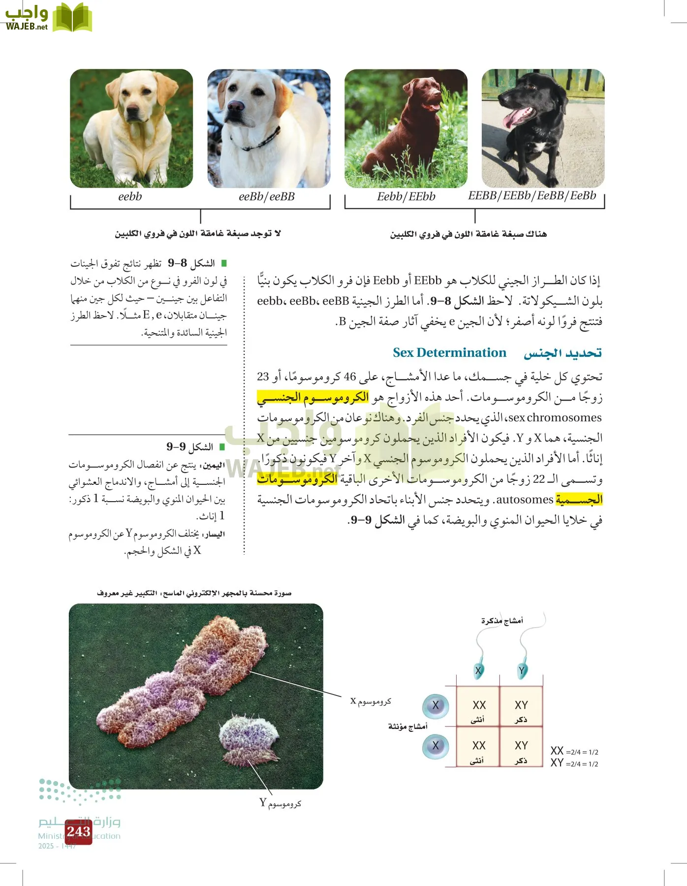 الأحياء 2-2 الفصل الثاني page-242