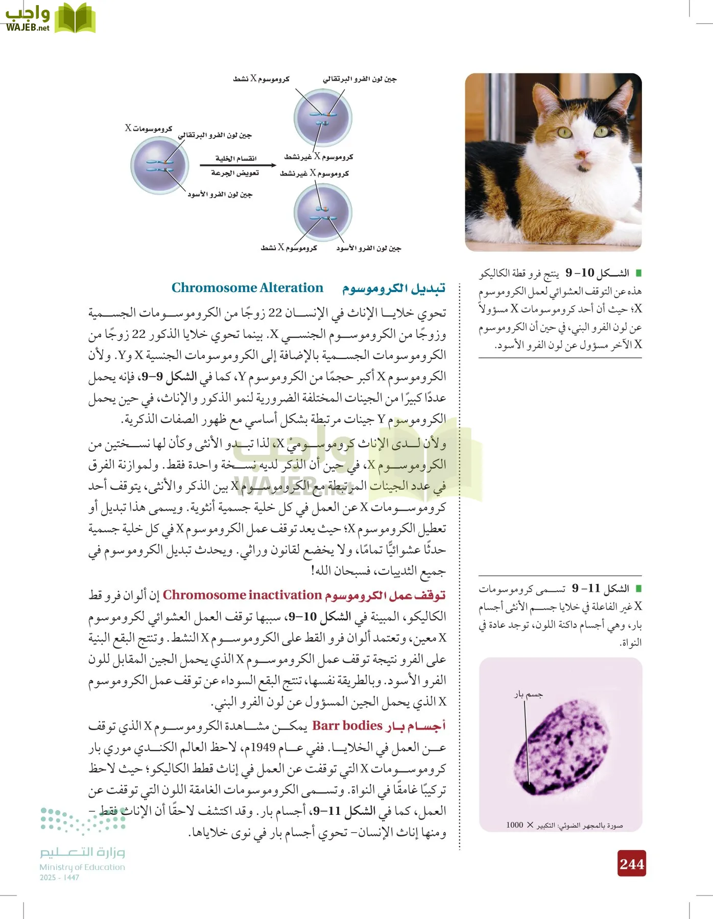 الأحياء 2-2 الفصل الثاني page-243