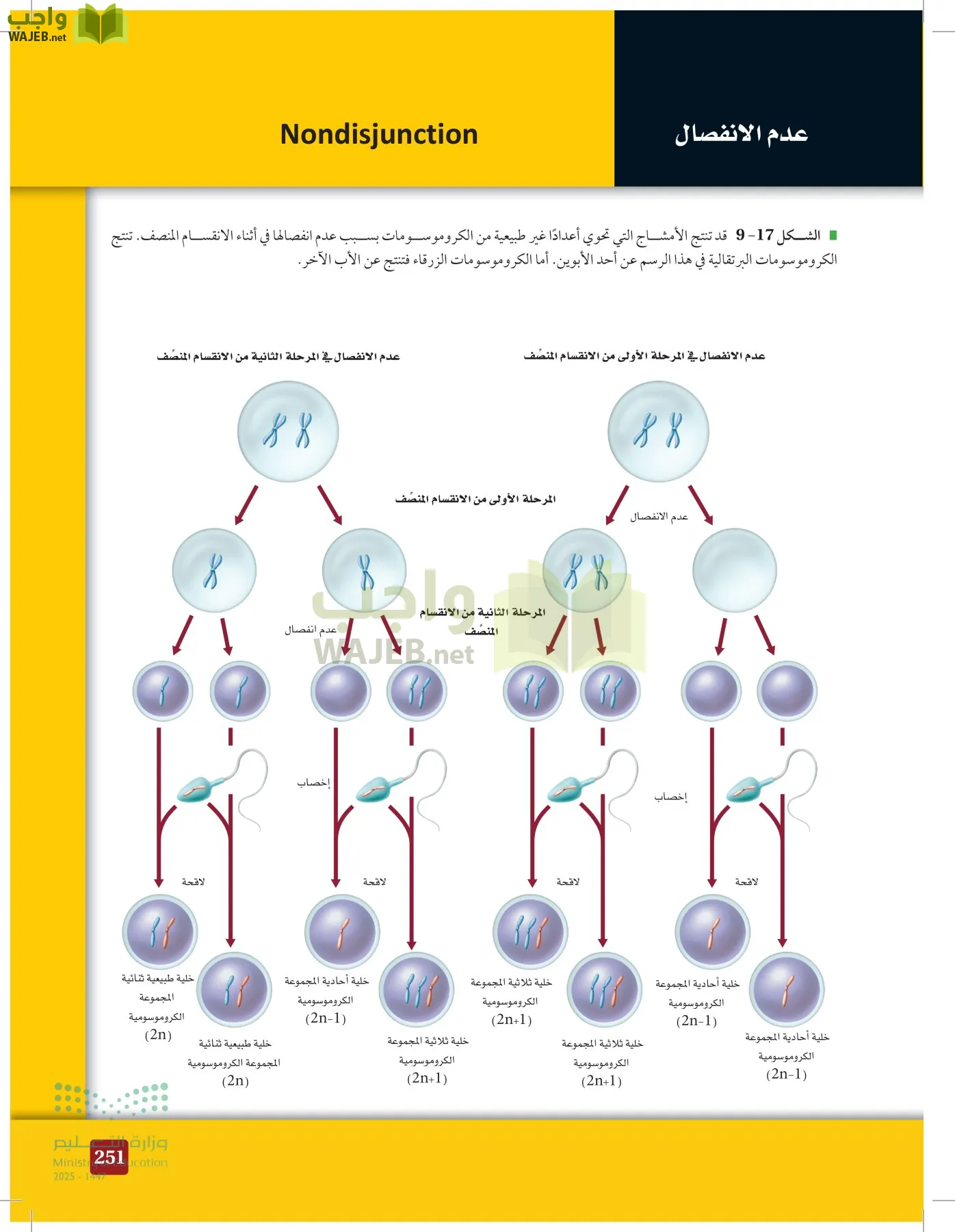الأحياء 2-2 الفصل الثاني page-250