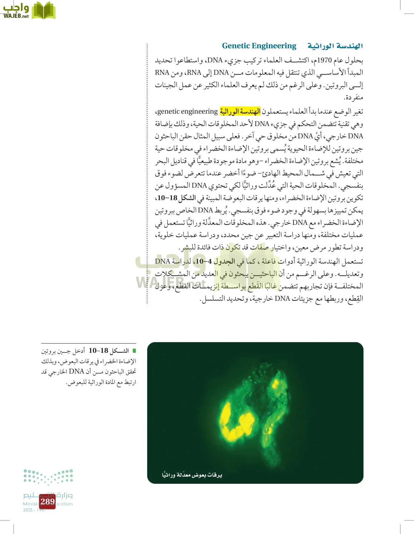 الأحياء 2-2 الفصل الثاني page-288