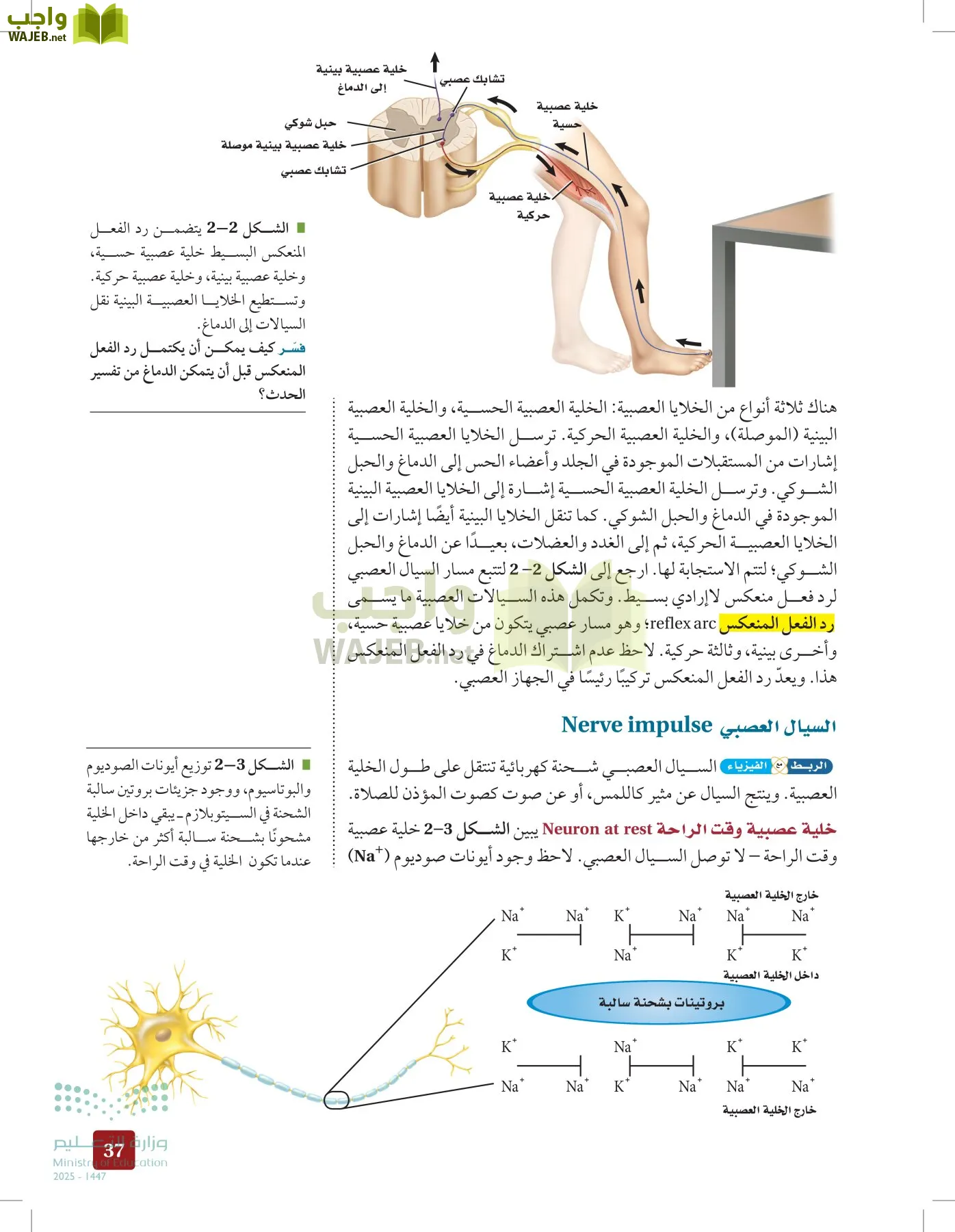الأحياء 2-2 الفصل الثاني page-36