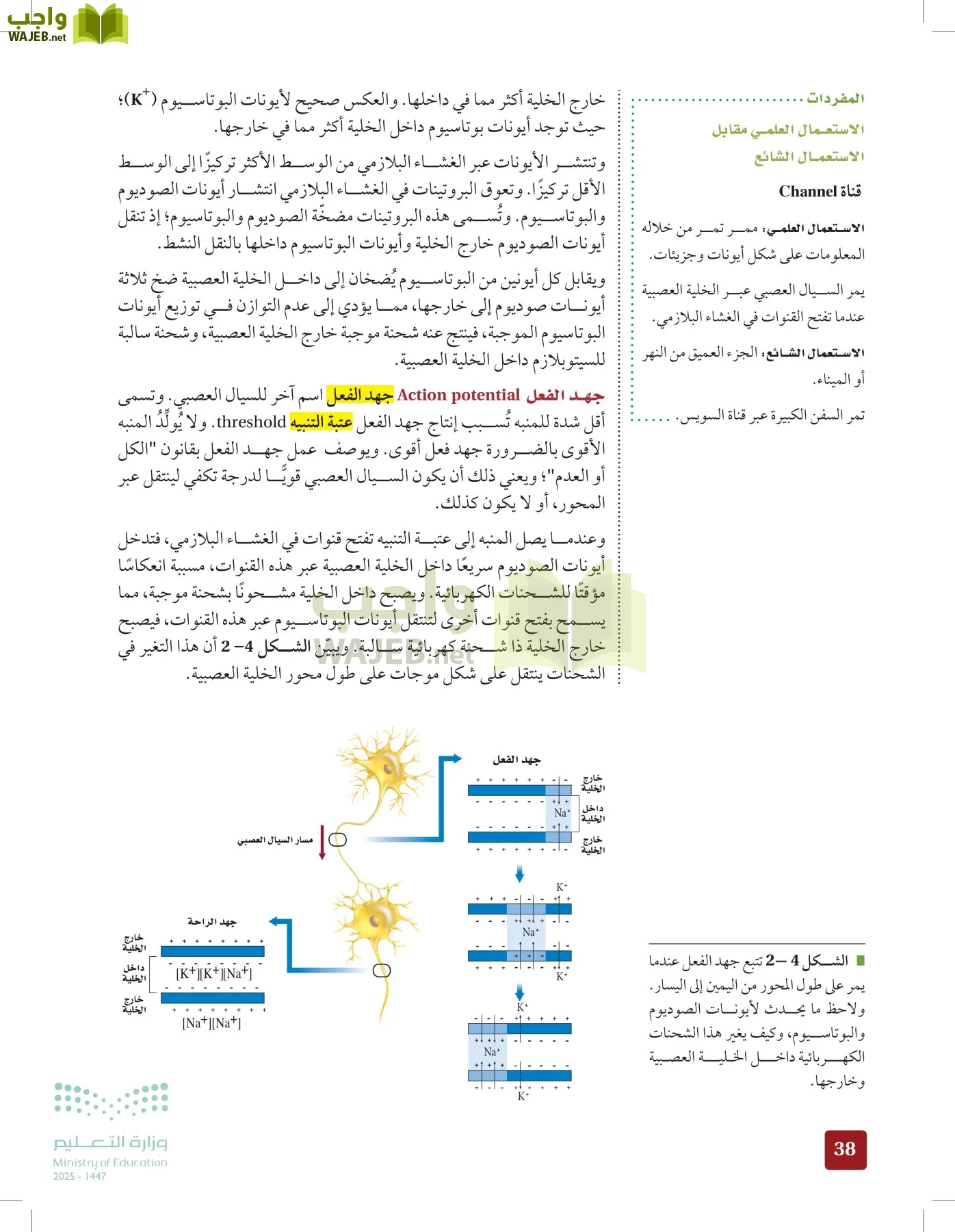الأحياء 2-2 الفصل الثاني page-37