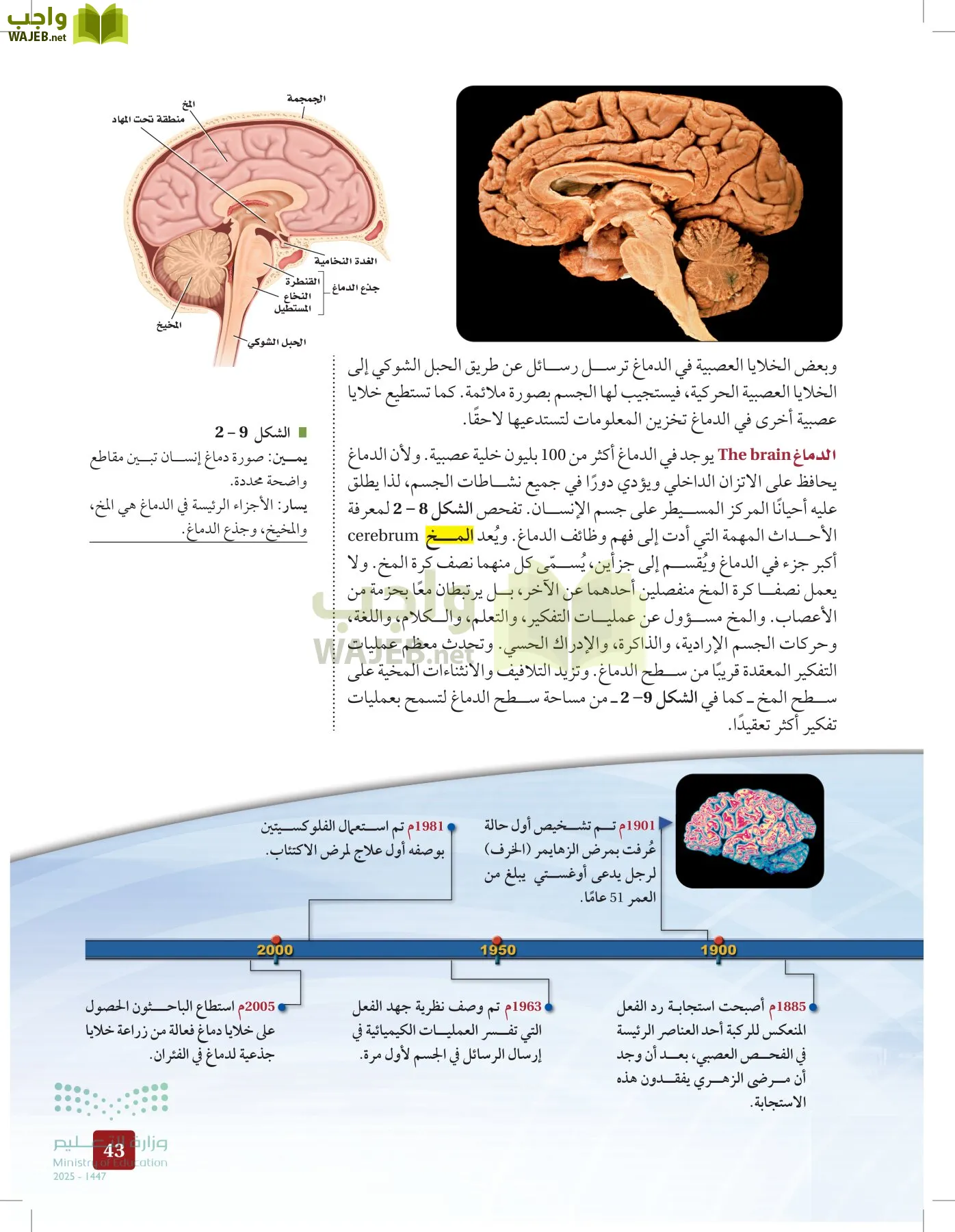 الأحياء 2-2 الفصل الثاني page-42