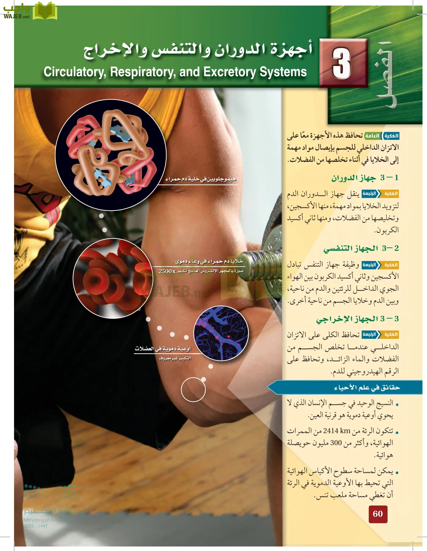 الأحياء 2-2 الفصل الثاني page-59