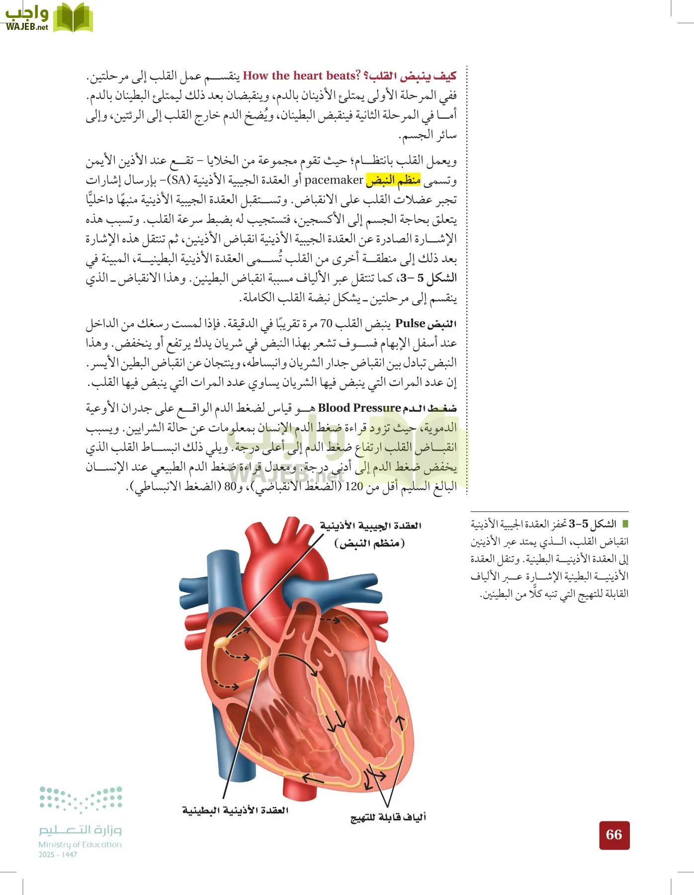 الأحياء 2-2 الفصل الثاني page-65