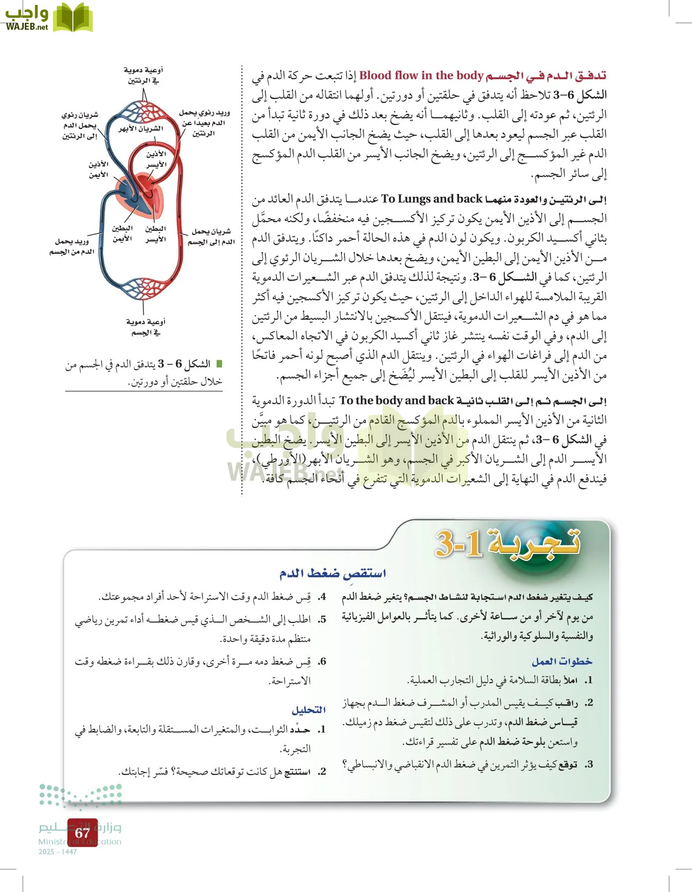 الأحياء 2-2 الفصل الثاني page-66