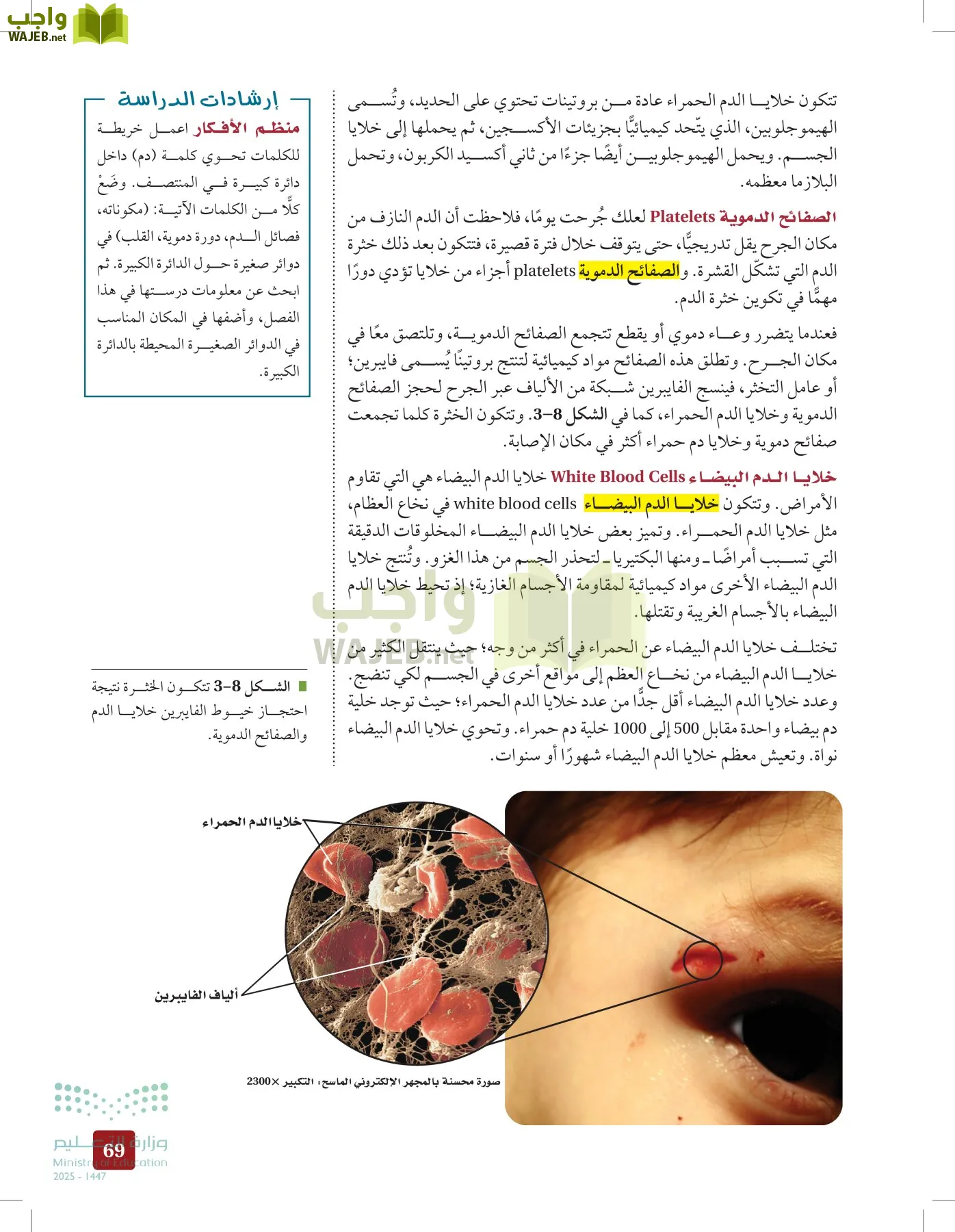 الأحياء 2-2 الفصل الثاني page-68