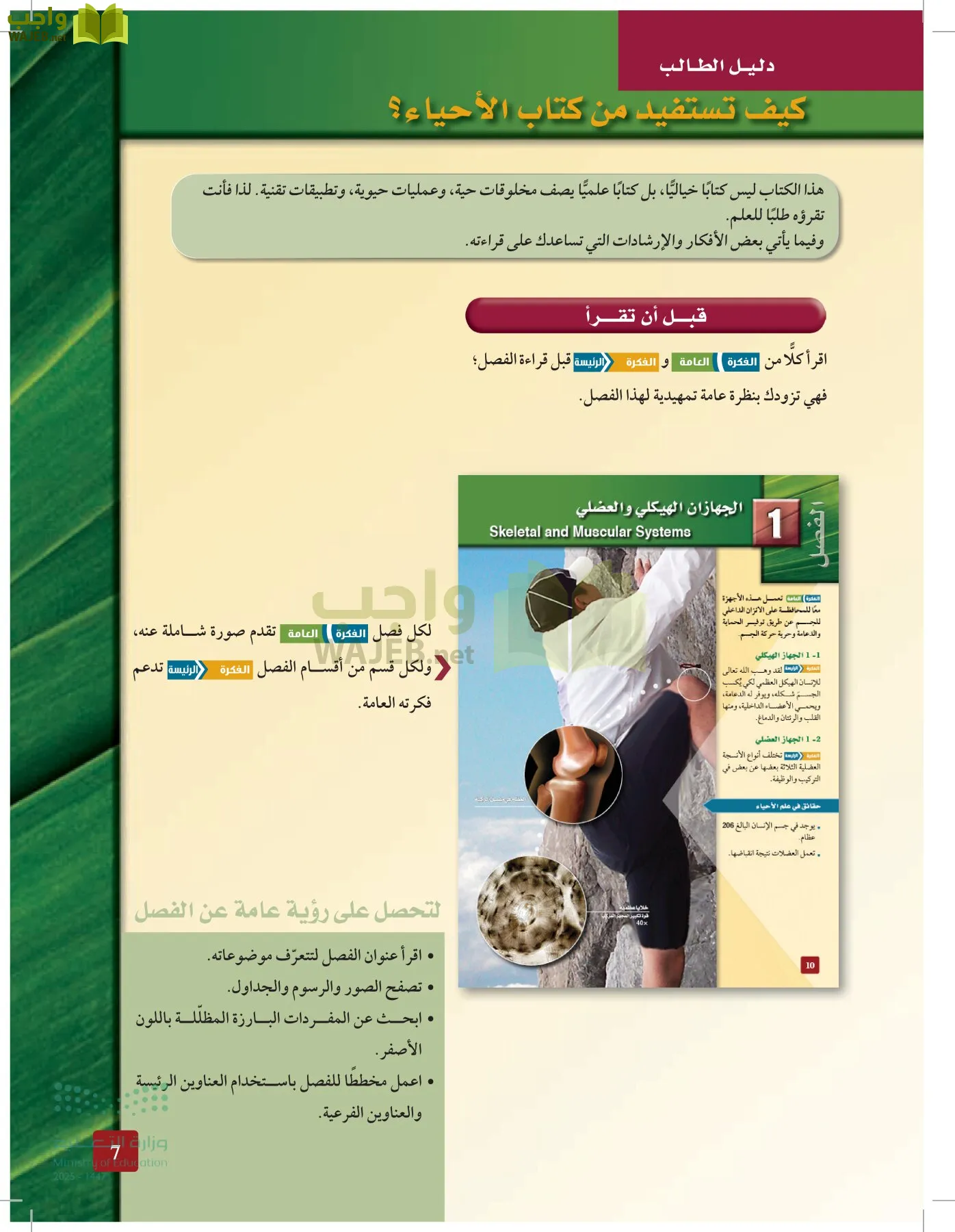 الأحياء 2-2 الفصل الثاني page-6