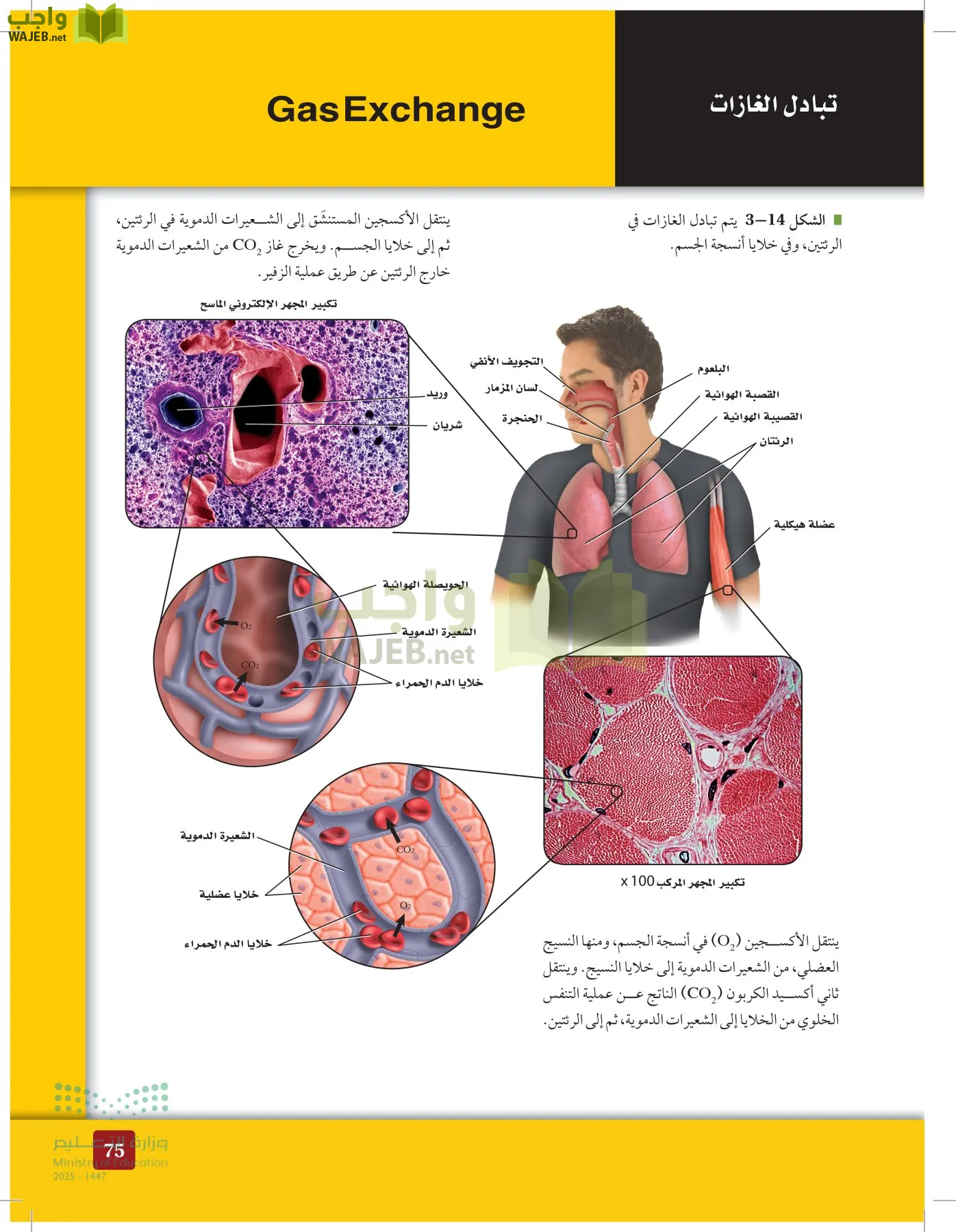 الأحياء 2-2 الفصل الثاني page-74
