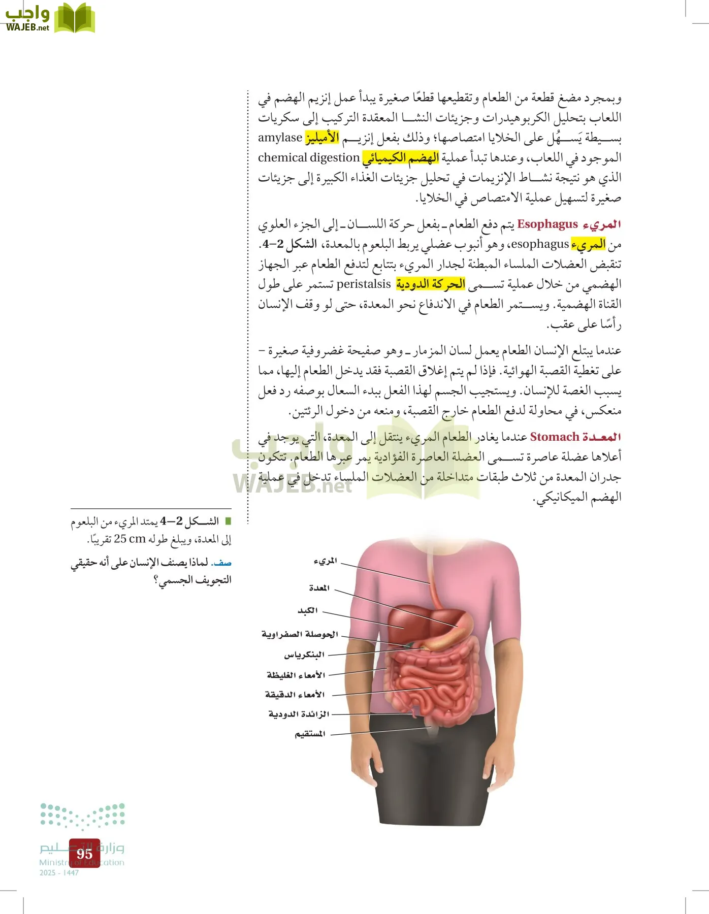 الأحياء 2-2 الفصل الثاني page-94