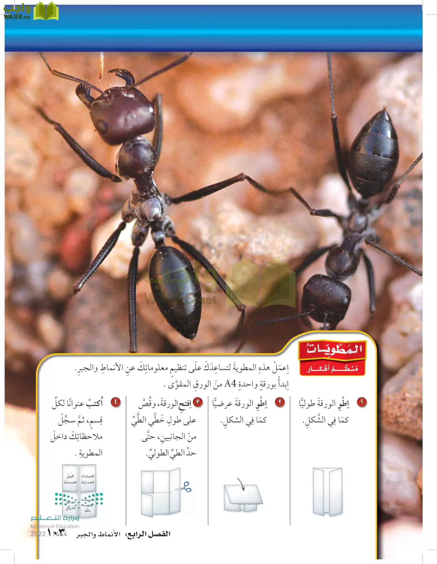 الرياضيات page-102